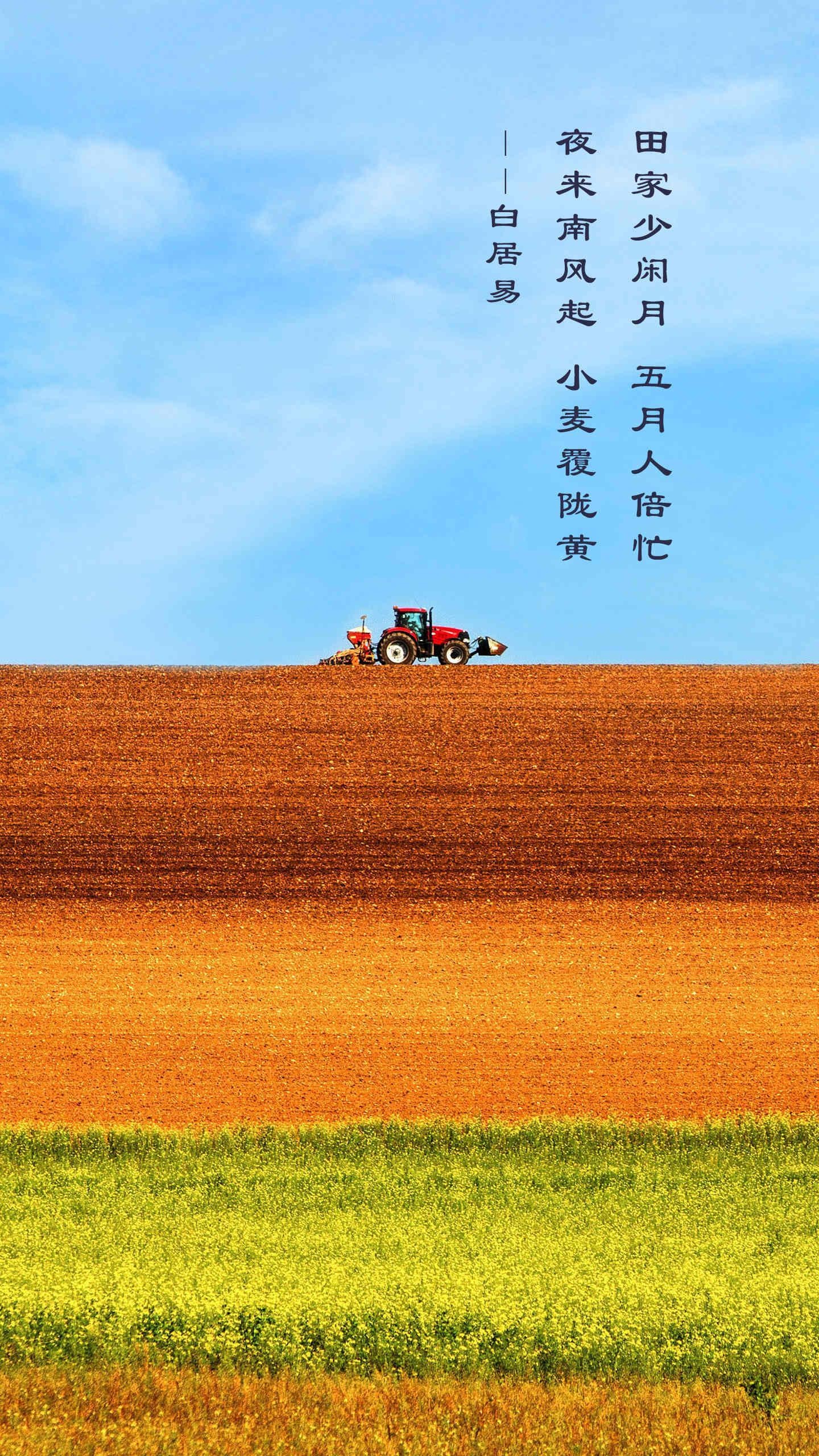 芒种节气