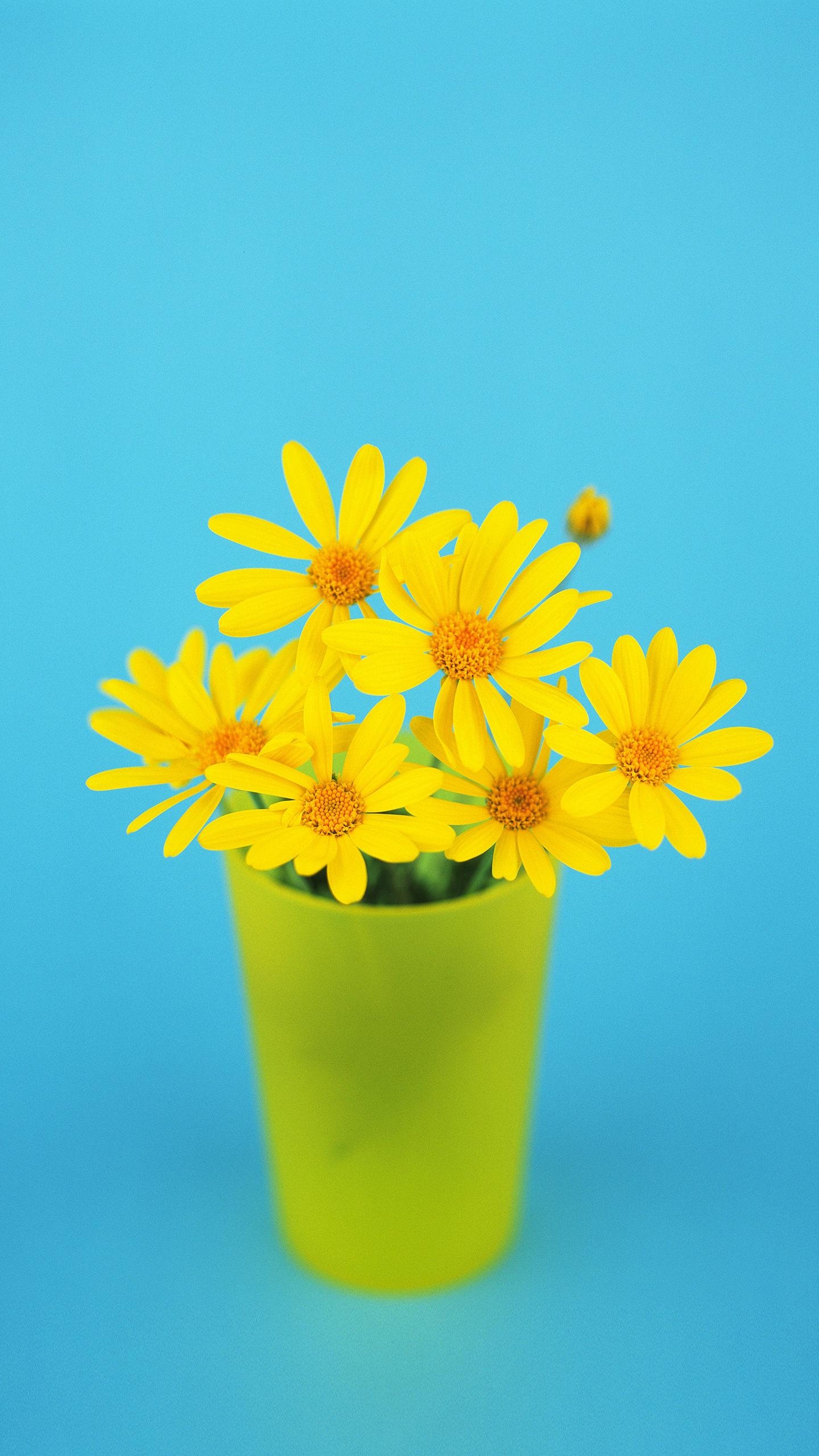 黄色小花
