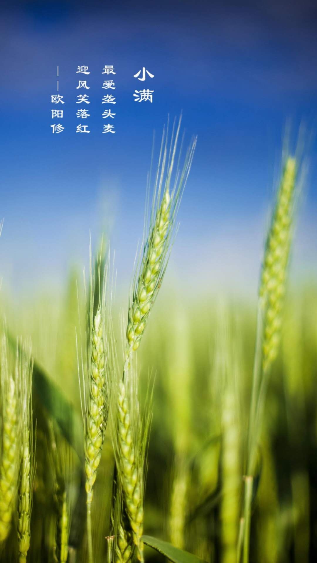只是小满