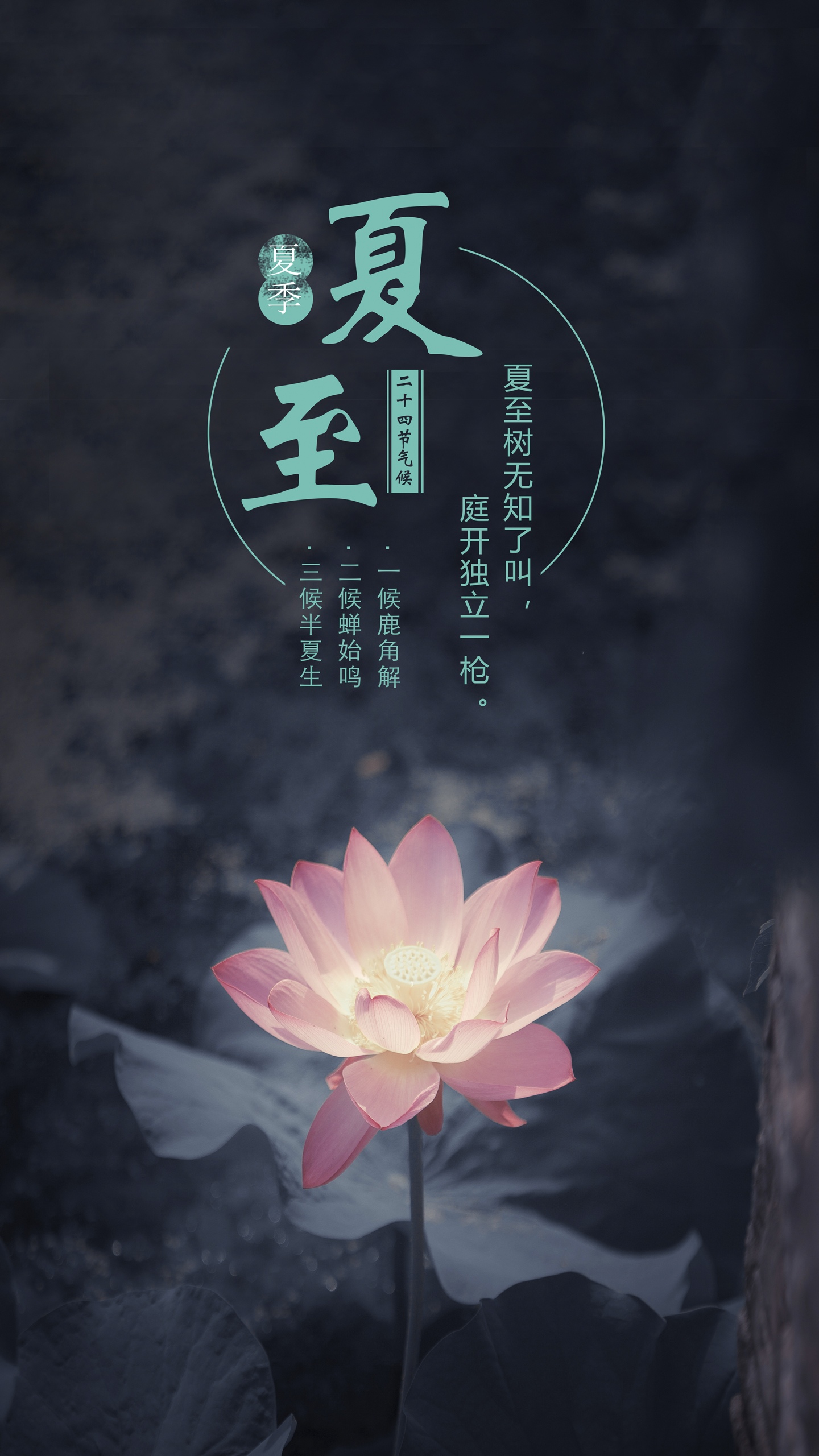 夏至未至