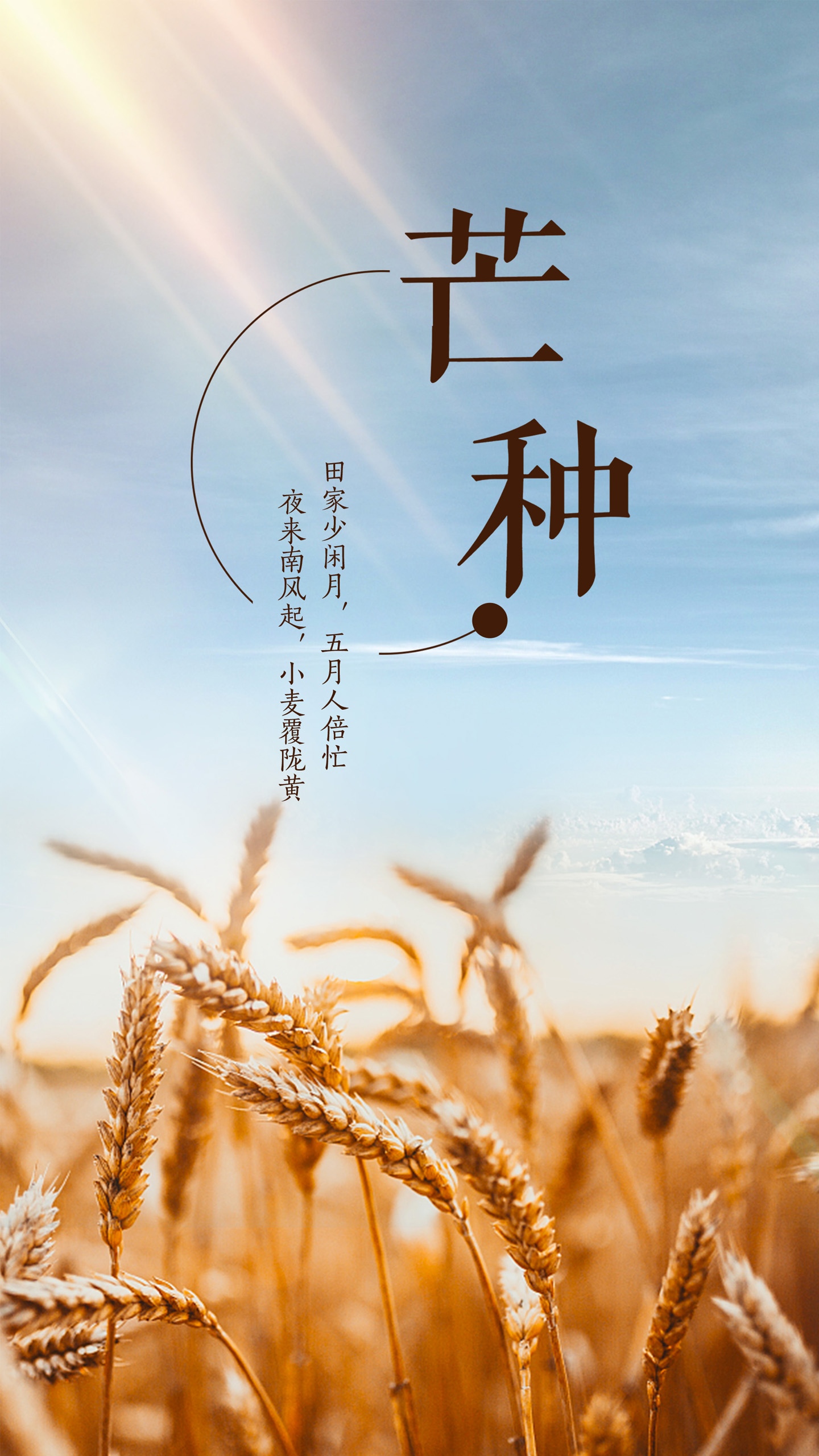芒种二十四节气唯美插画