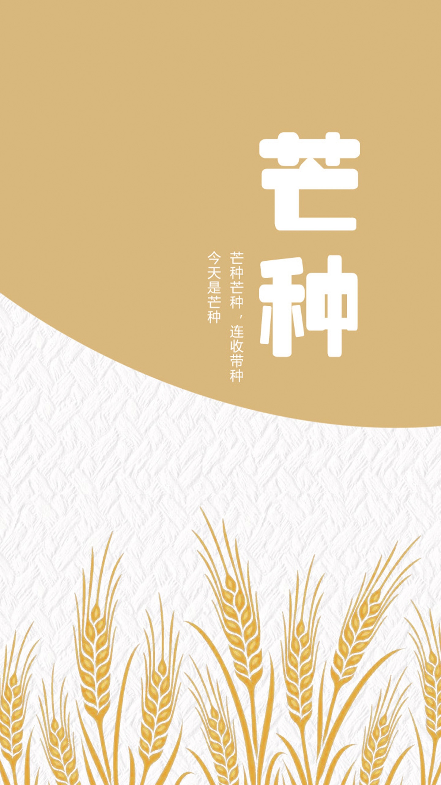 清新简约芒种插画