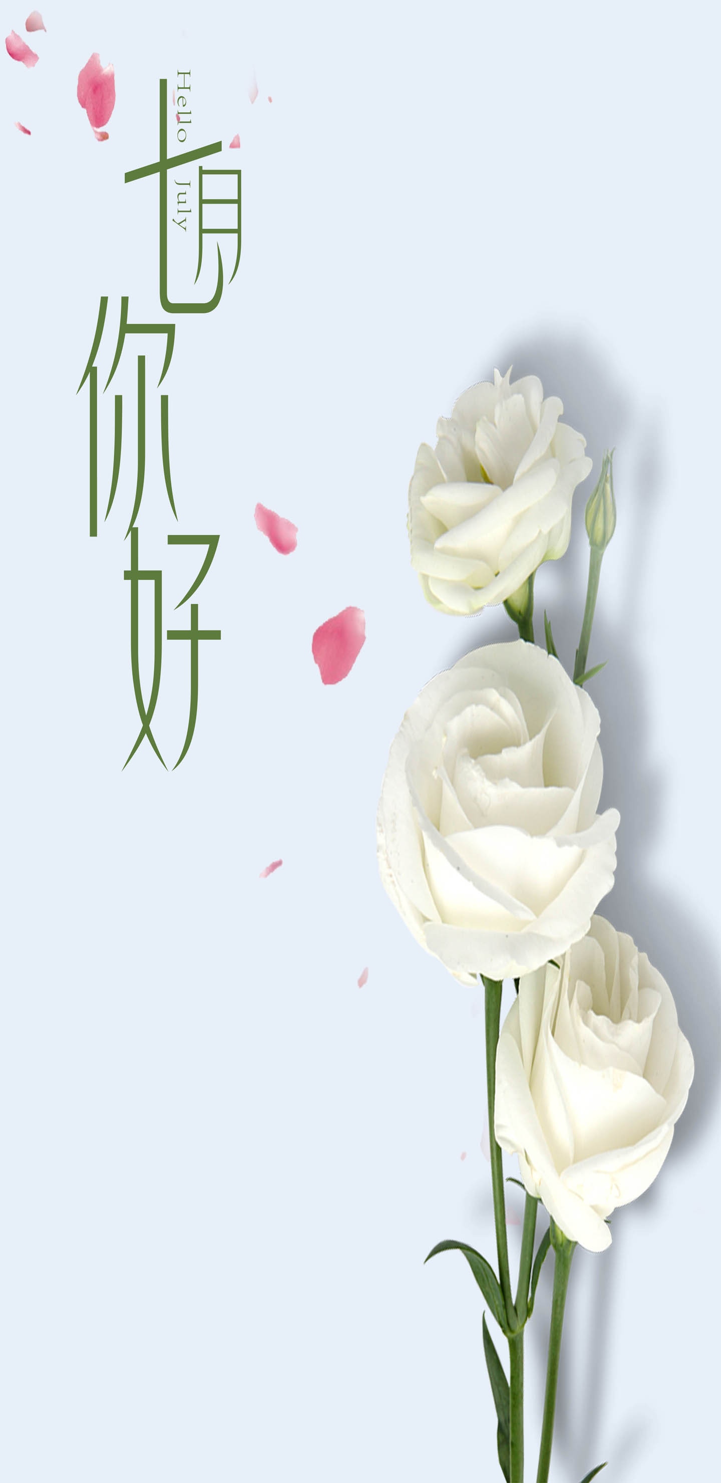唯美玫瑰七月你好