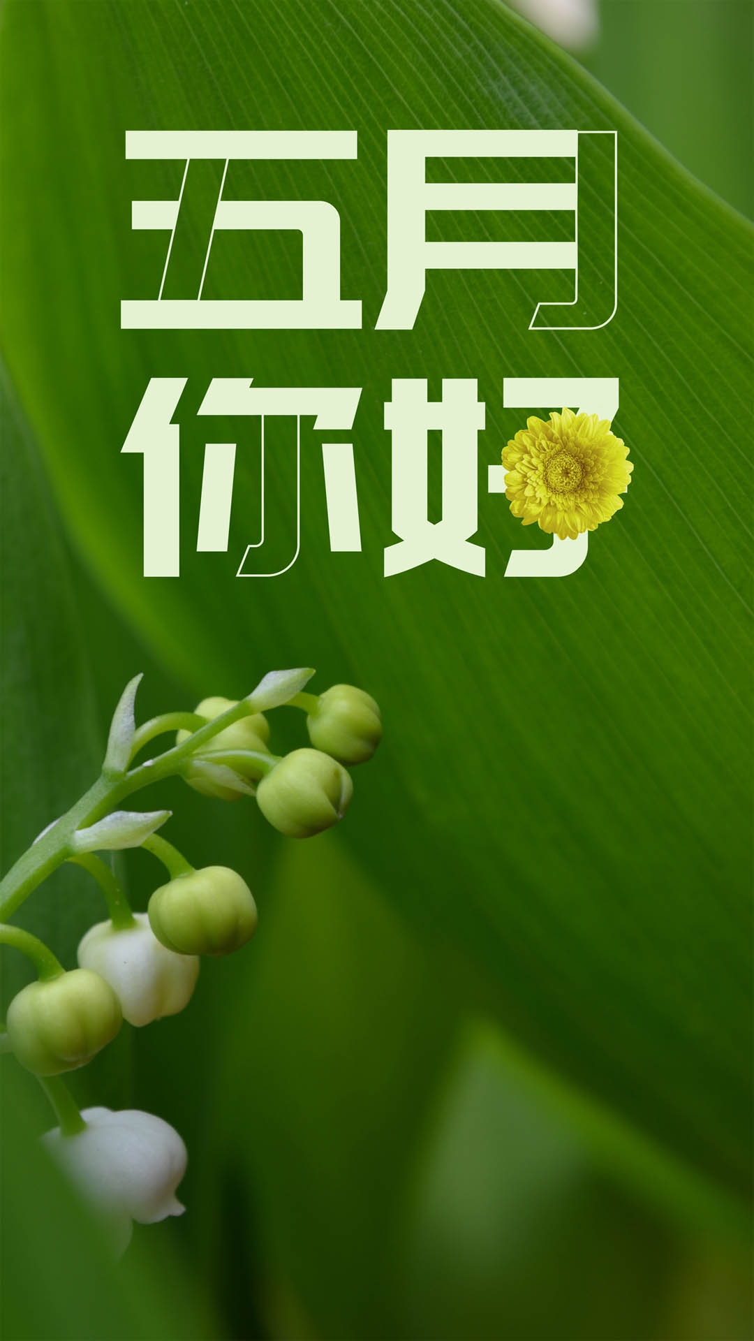 清新护眼五月你好
