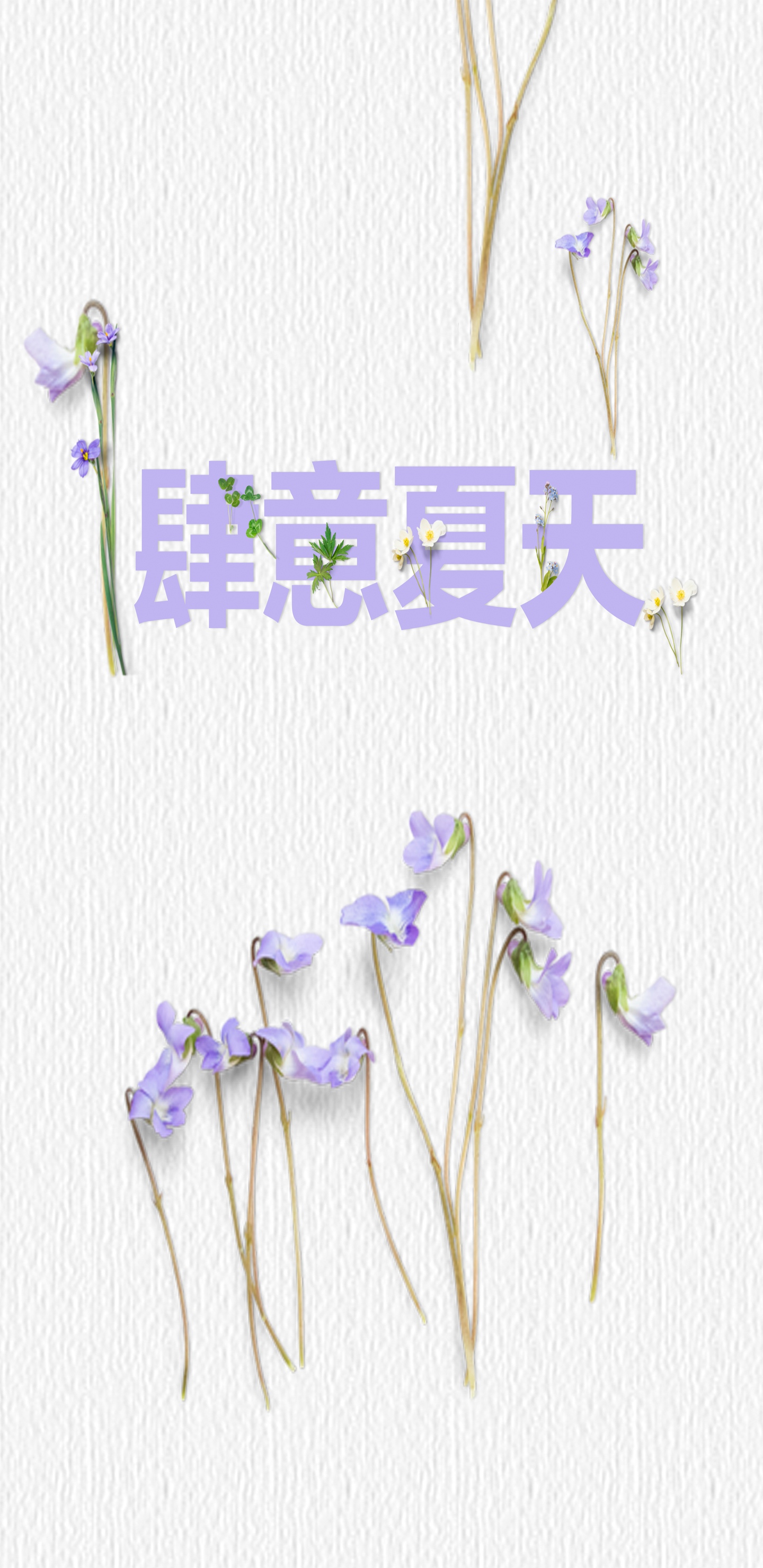 夏日好时光六月你好