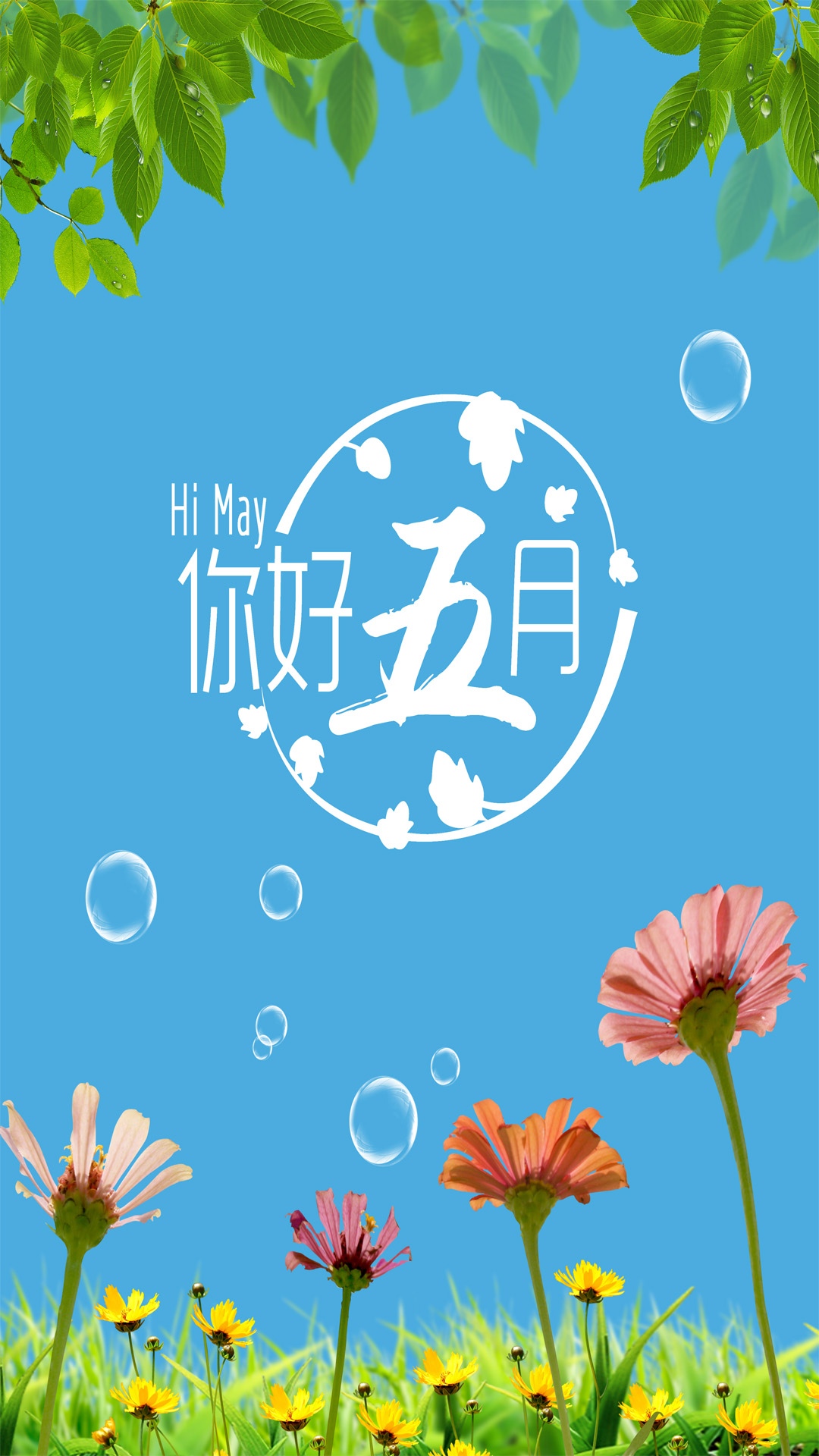 春风得意你好五月