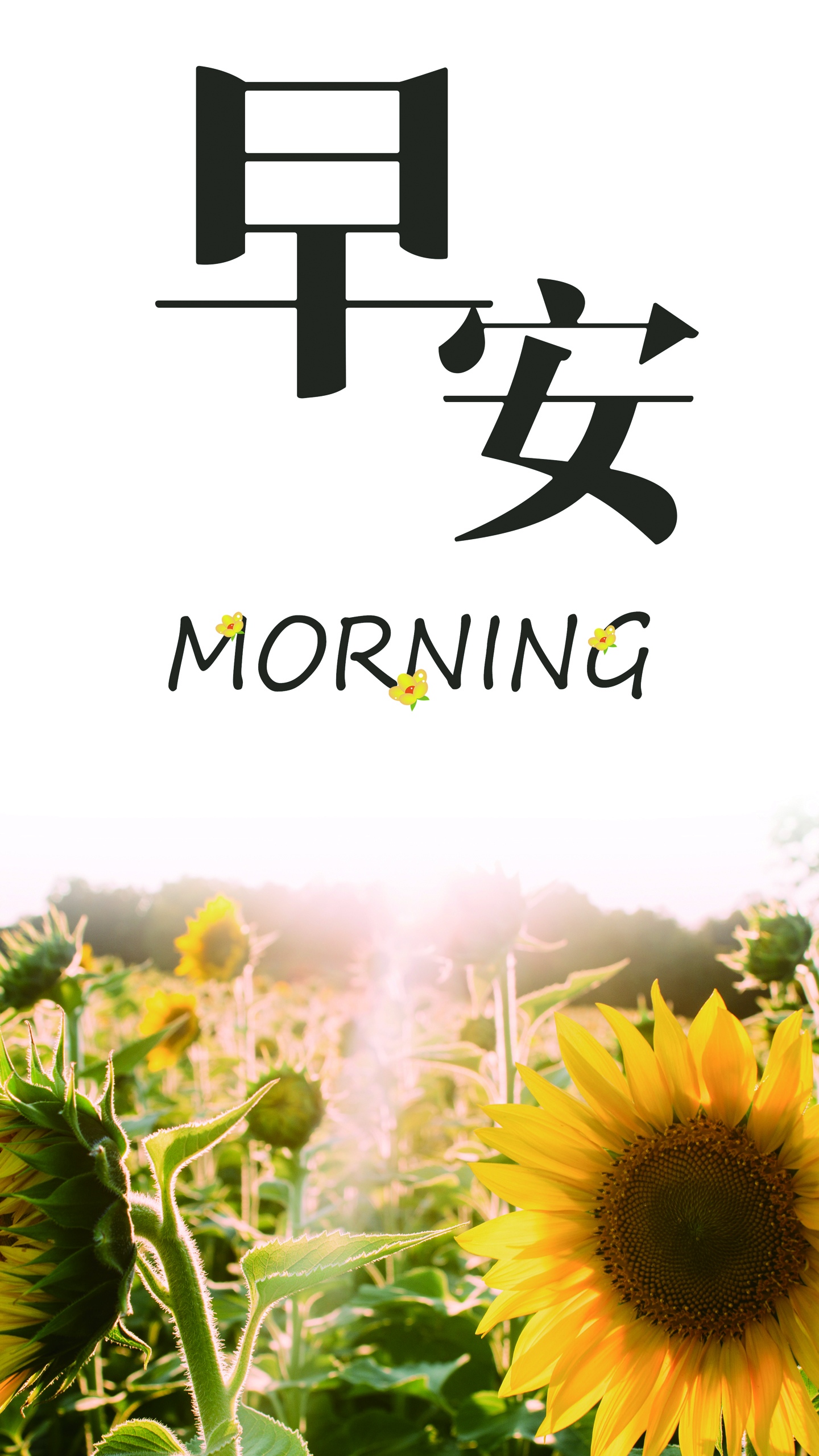 小清新唯美向日葵早安