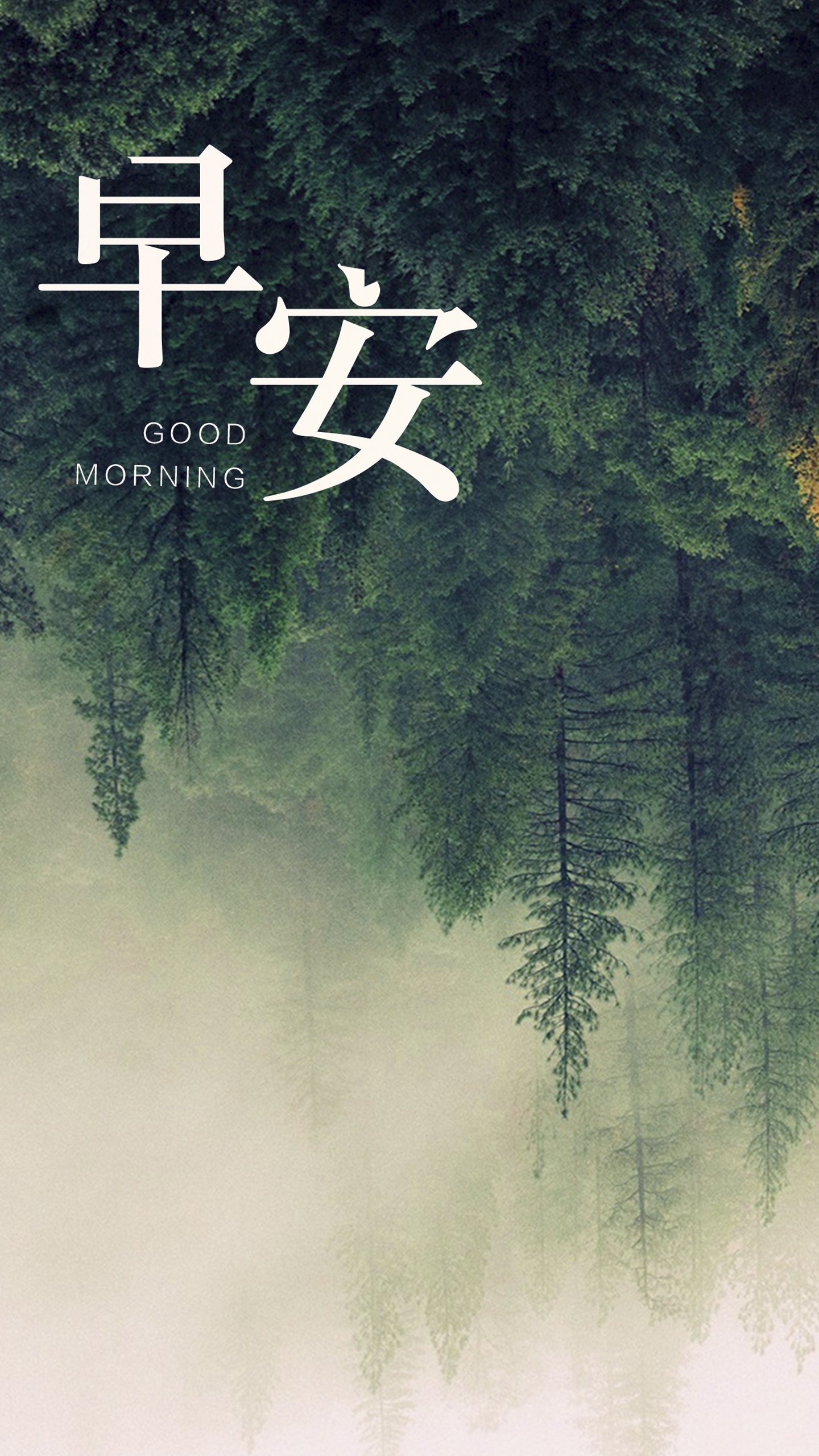 早安你好绿色森林美若黎明