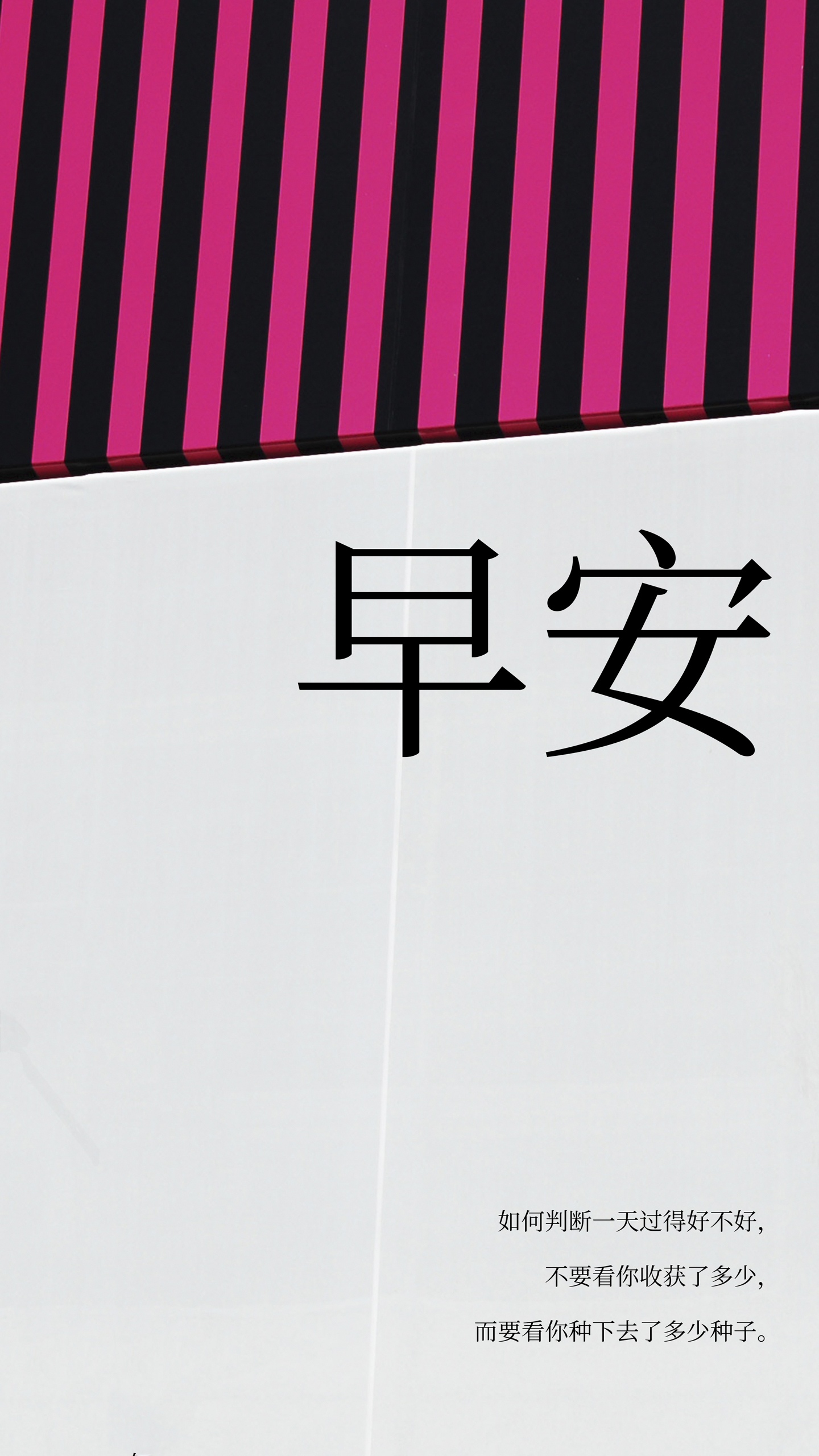 文艺墙早安唯美励志语录