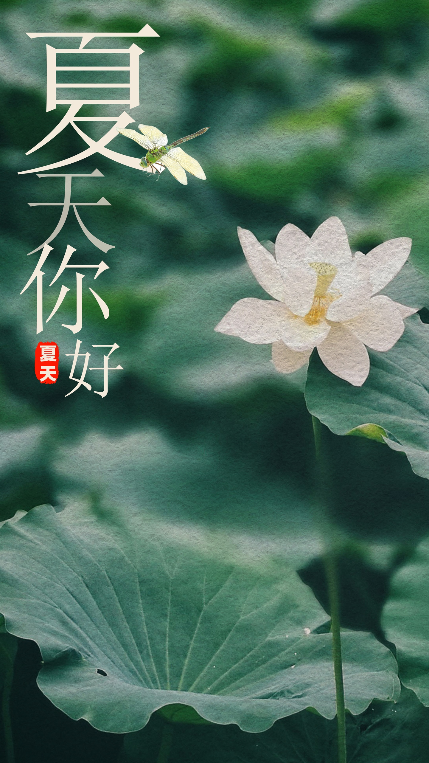 清新简约荷花夏天你好