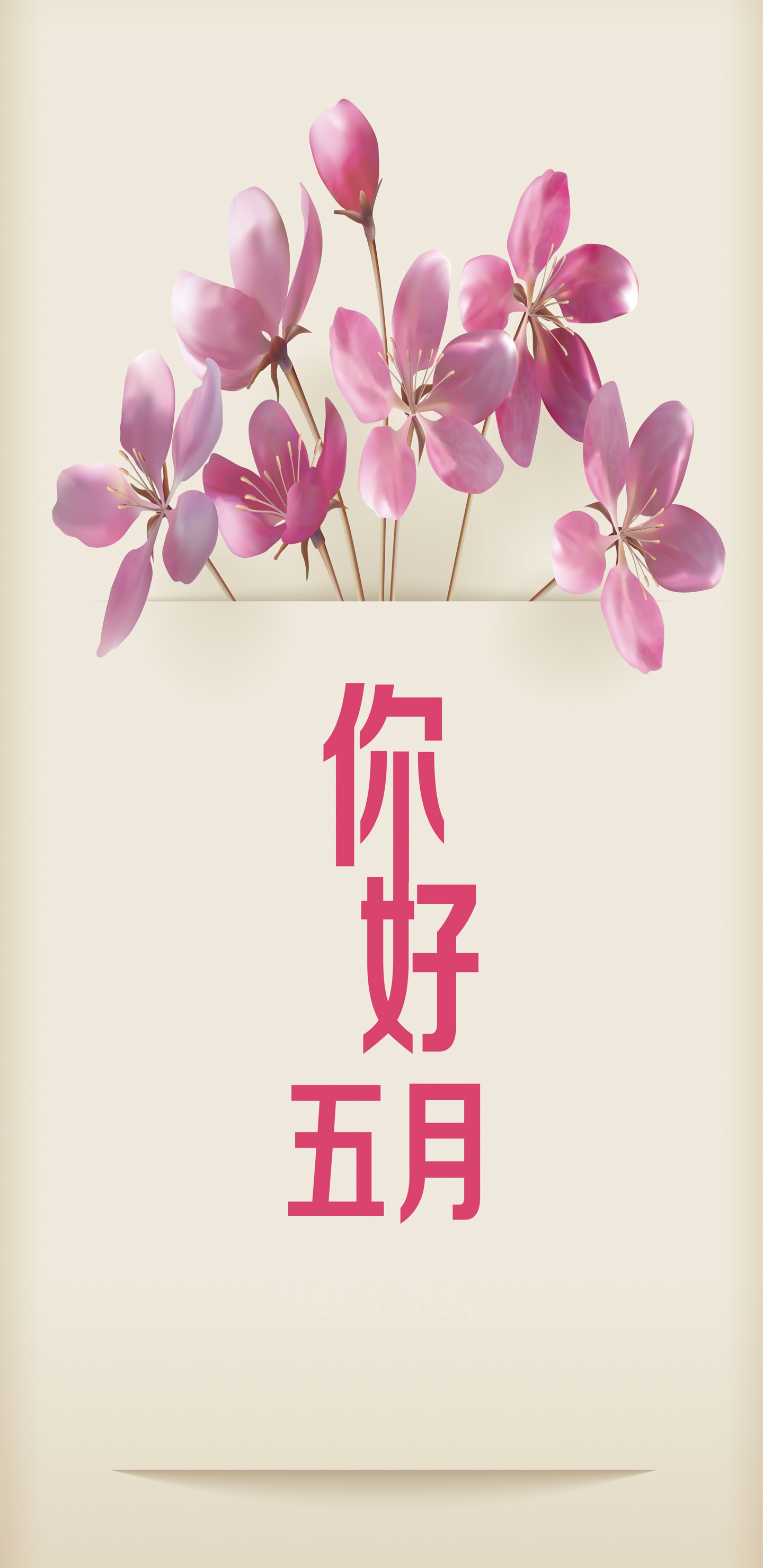 极简五月夏天五月你好