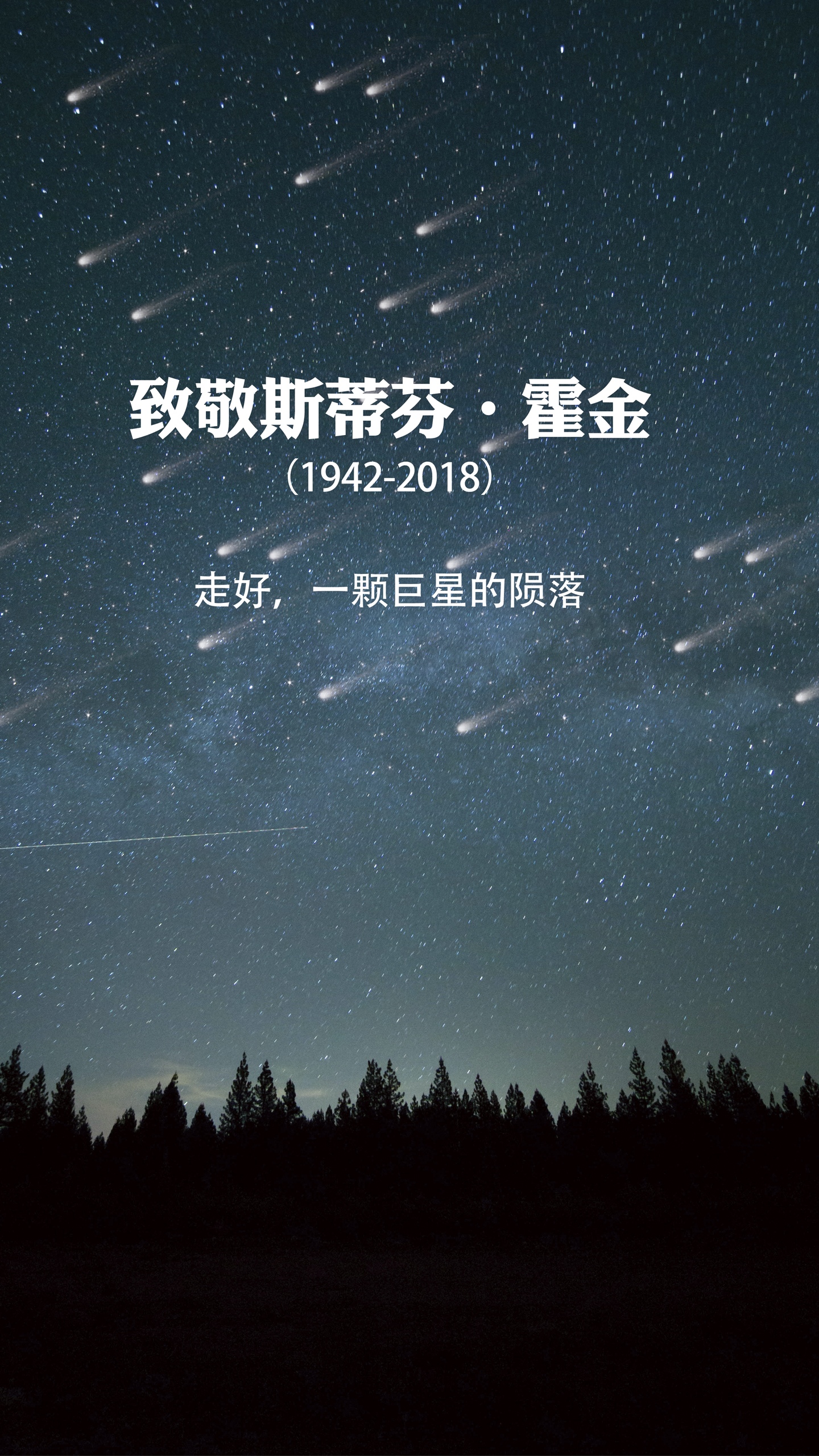简约大气致敬霍金