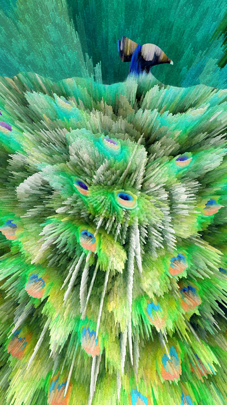 彩色渐变立体突出孔雀