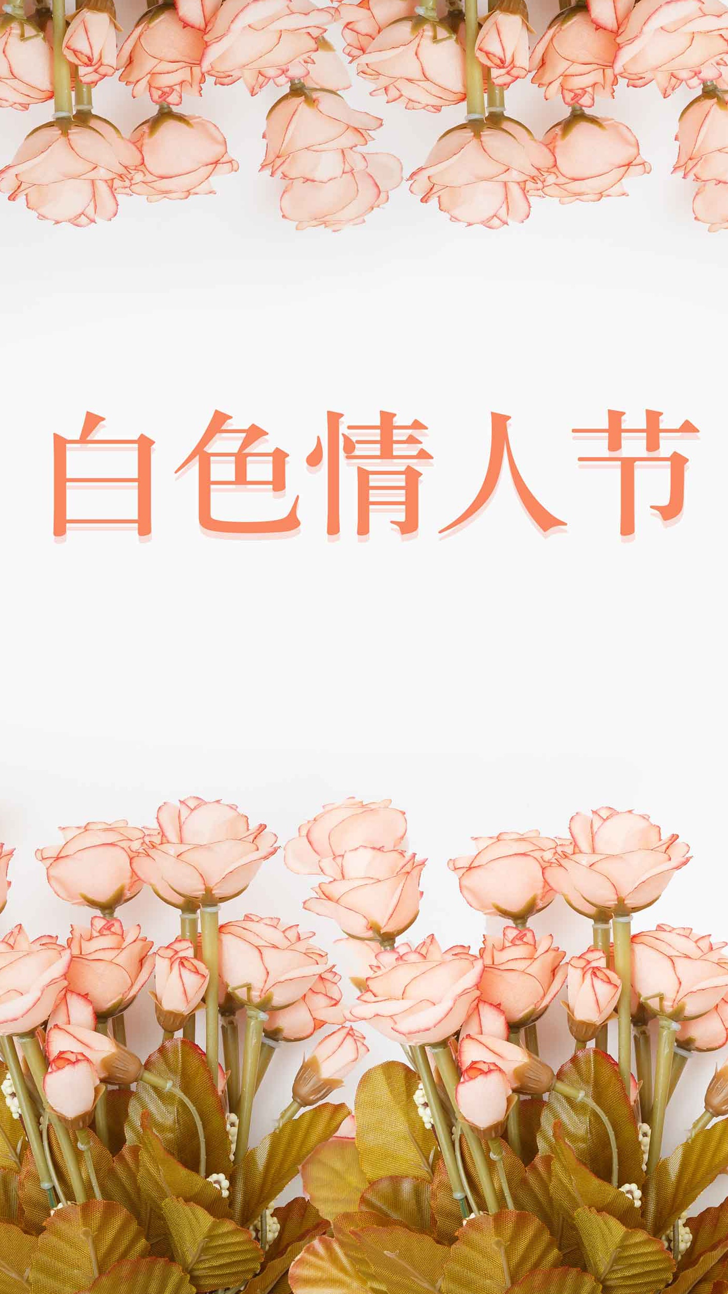 清新简约白色情人节