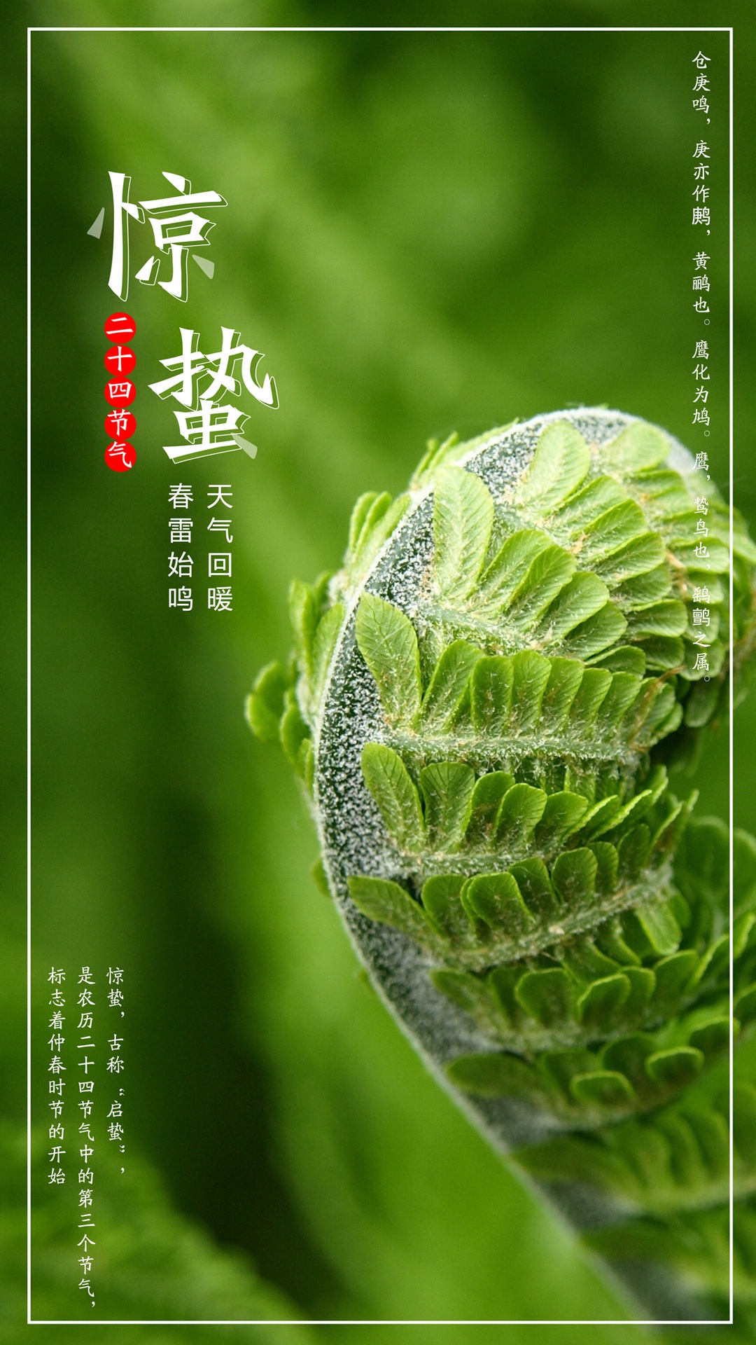 二十四惊蛰节气