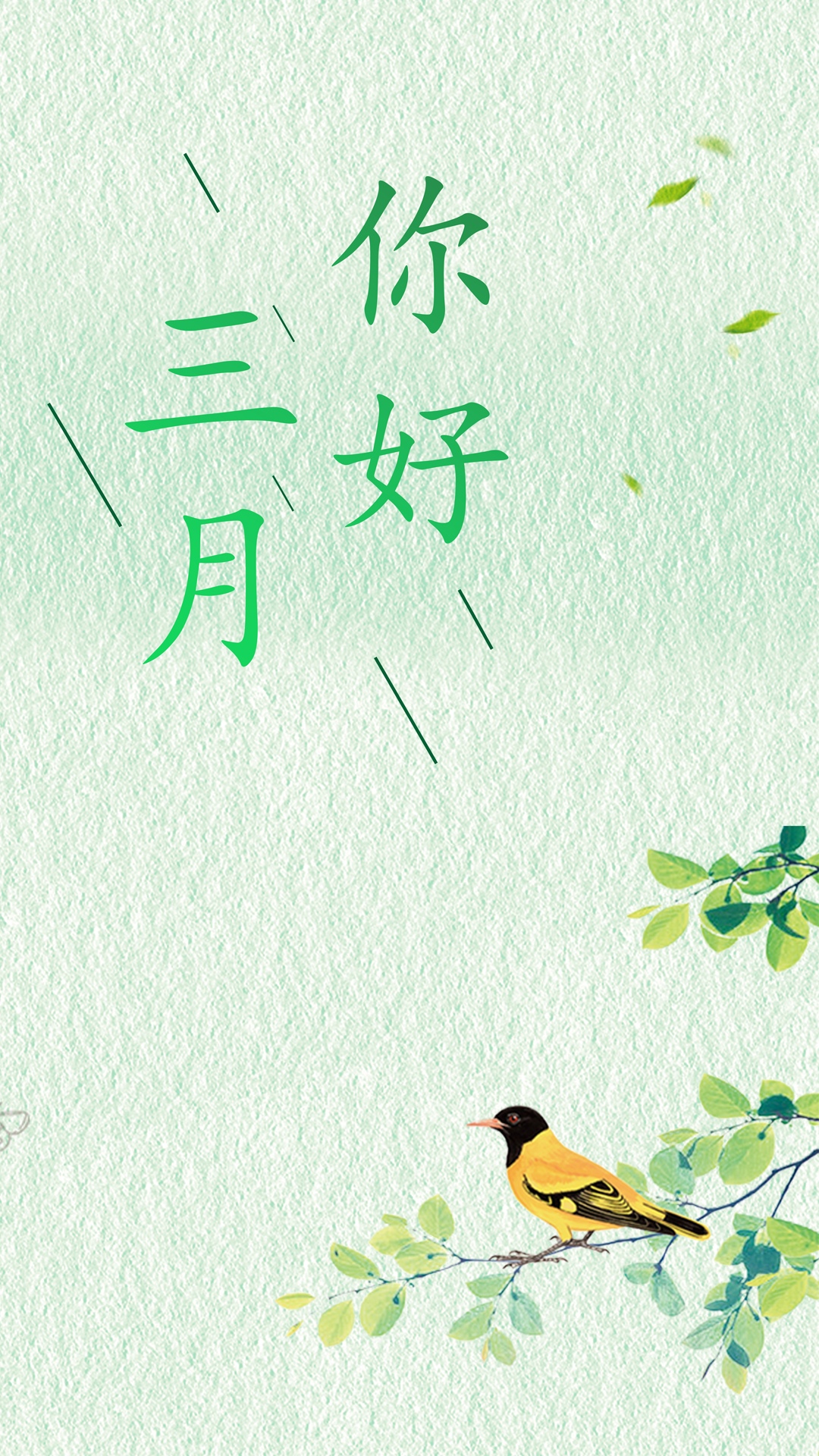 你好,三月