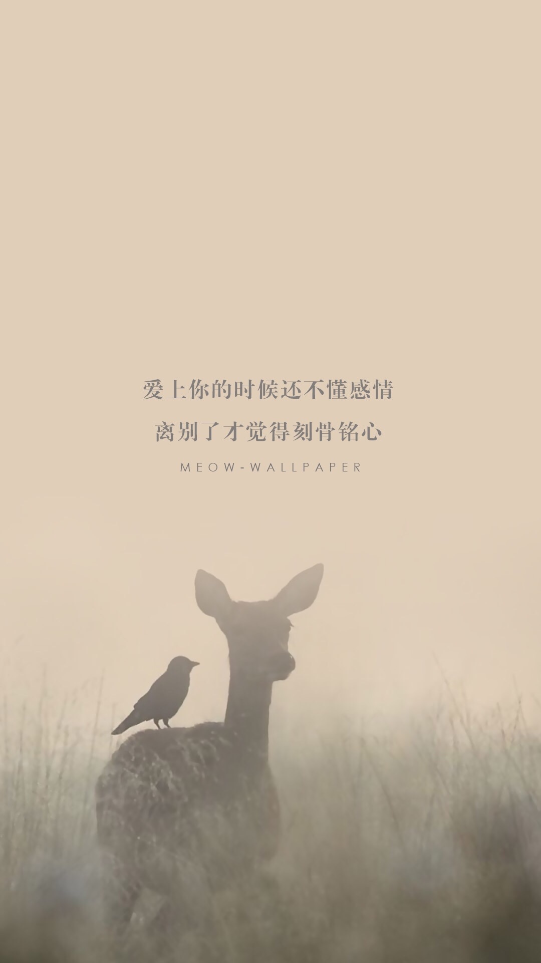 森林麋鹿小清新文字
