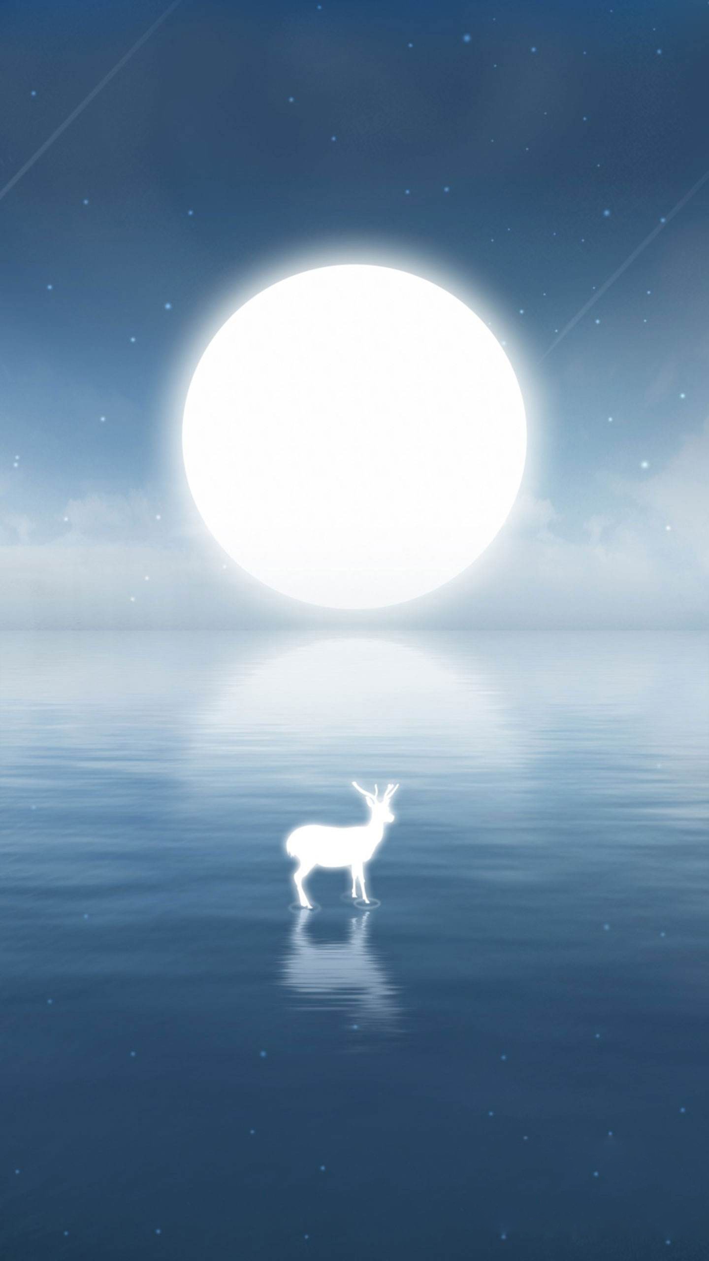 夜鹿