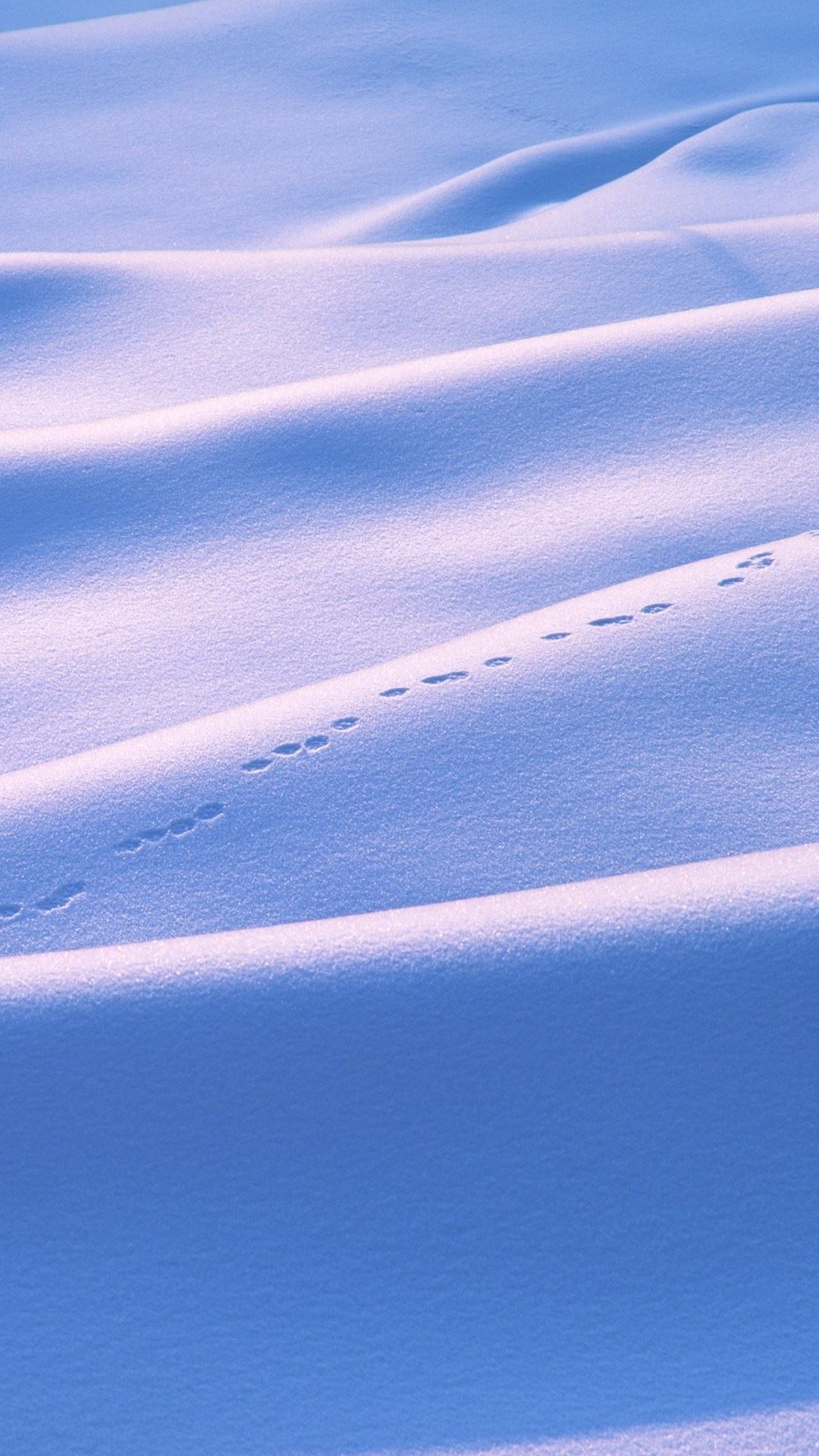 雪地爪子
