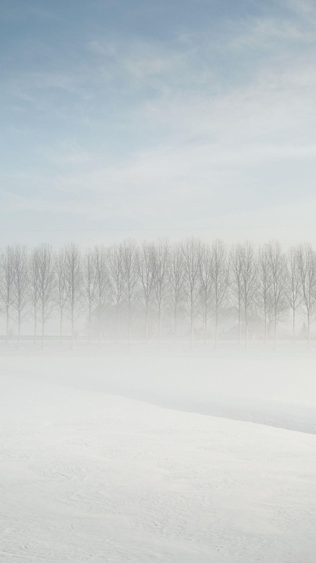 雪中的森林