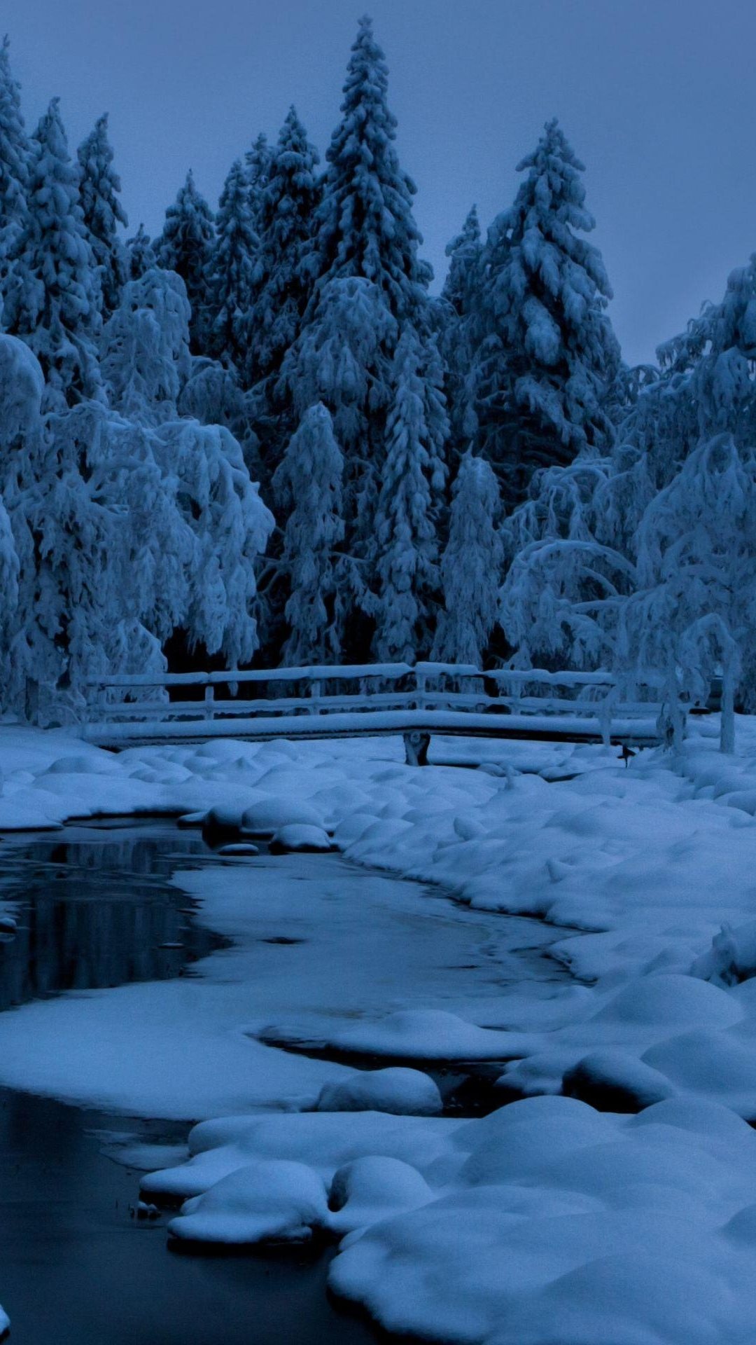 森林湖冰雪桥