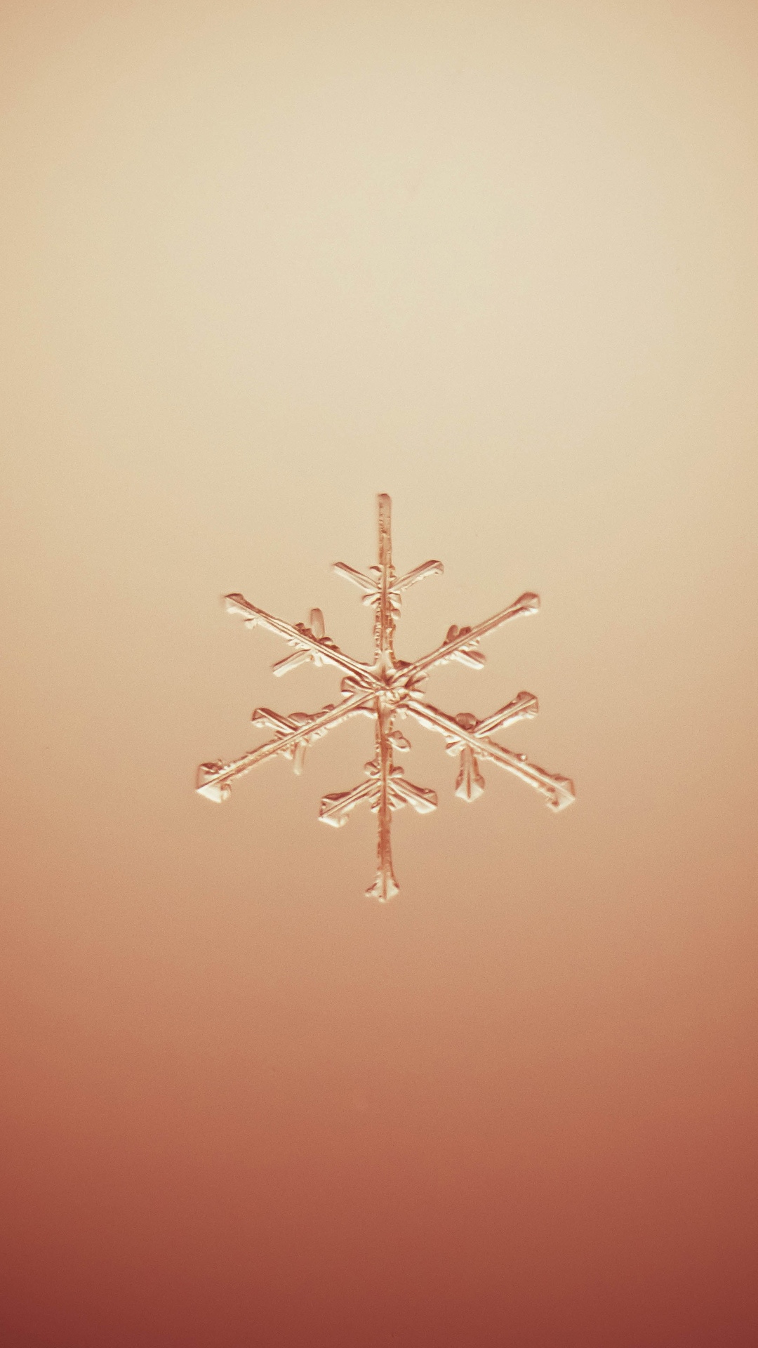 唯美雪花