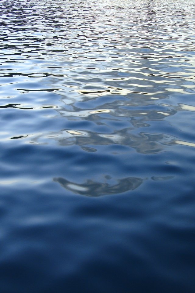 平静的蓝水