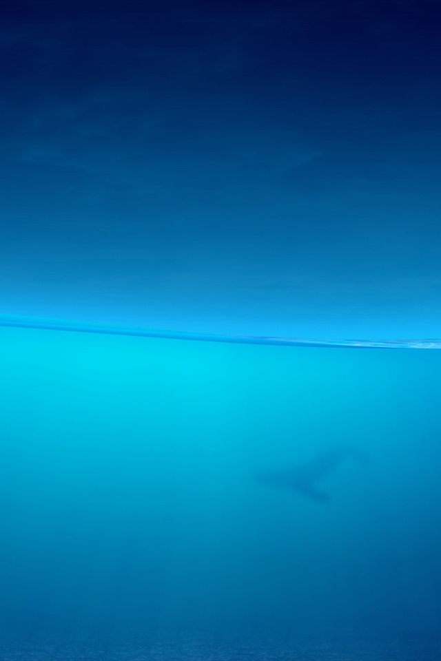 蓝色水族
