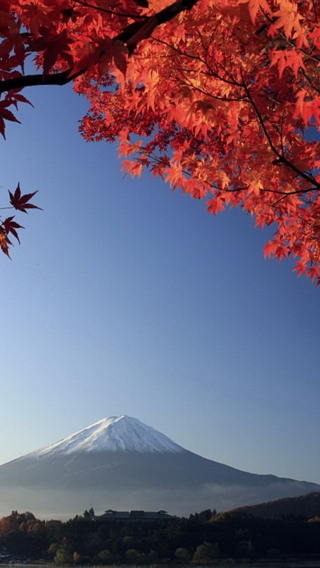 日本富士山景色