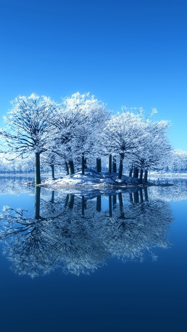梦幻雪树倒影