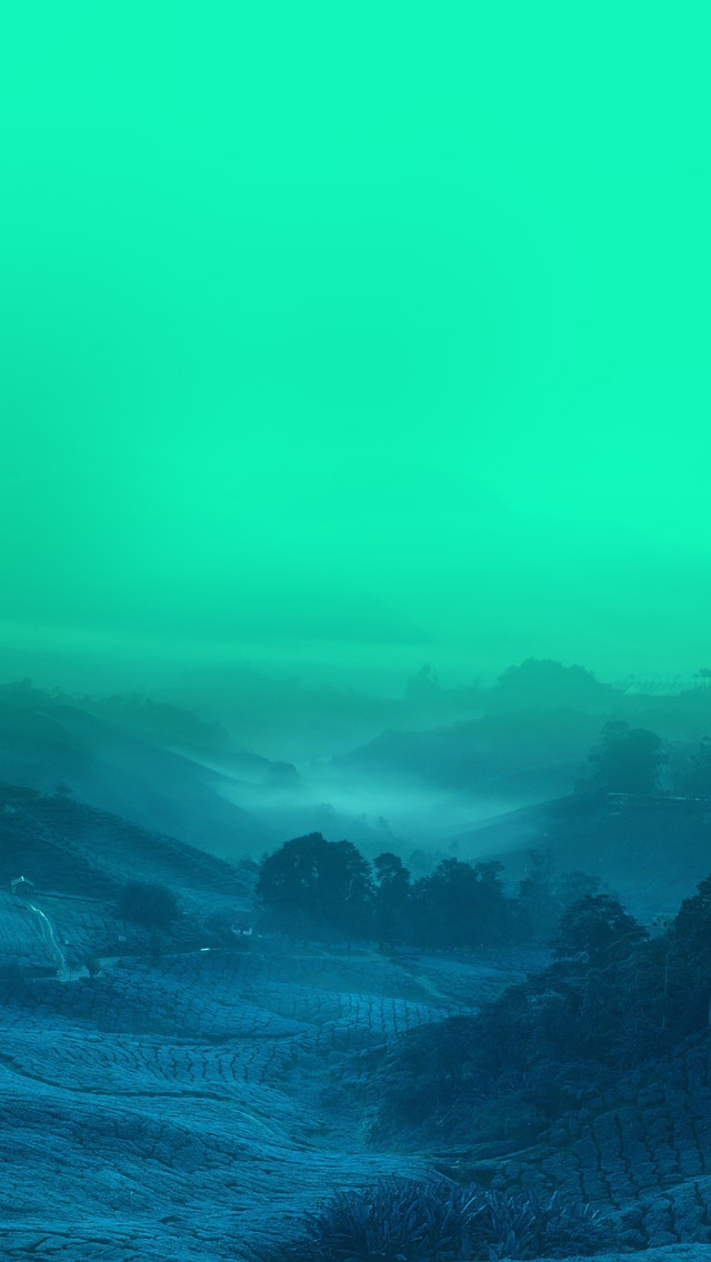 马来西亚梦幻丛林