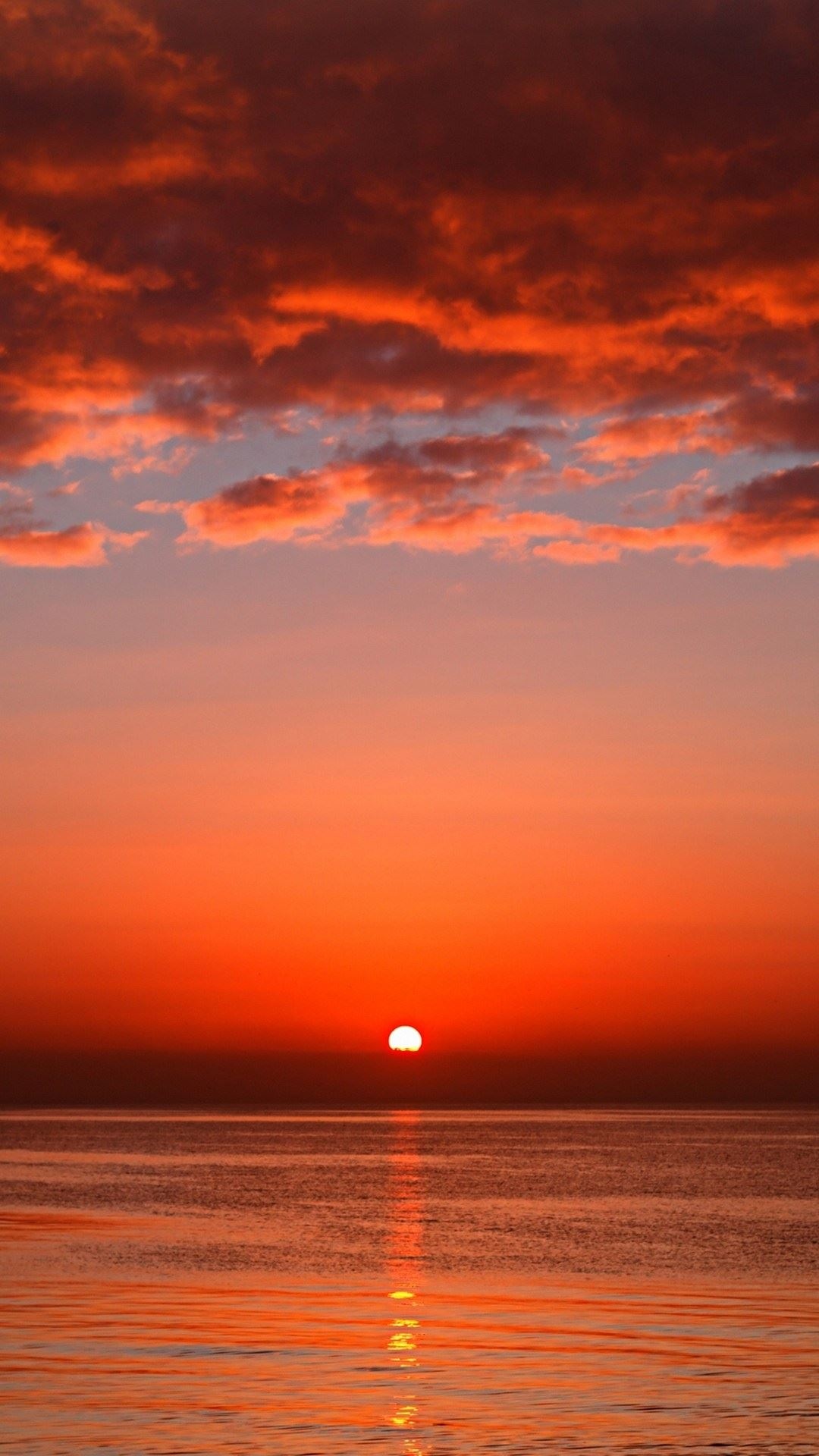 似血腥红的海洋日落