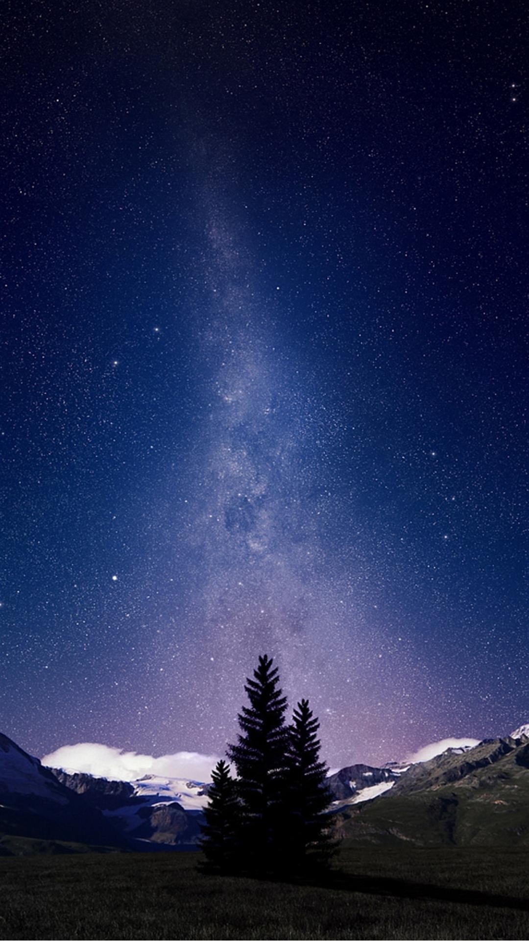 美丽的银河中孤独的树