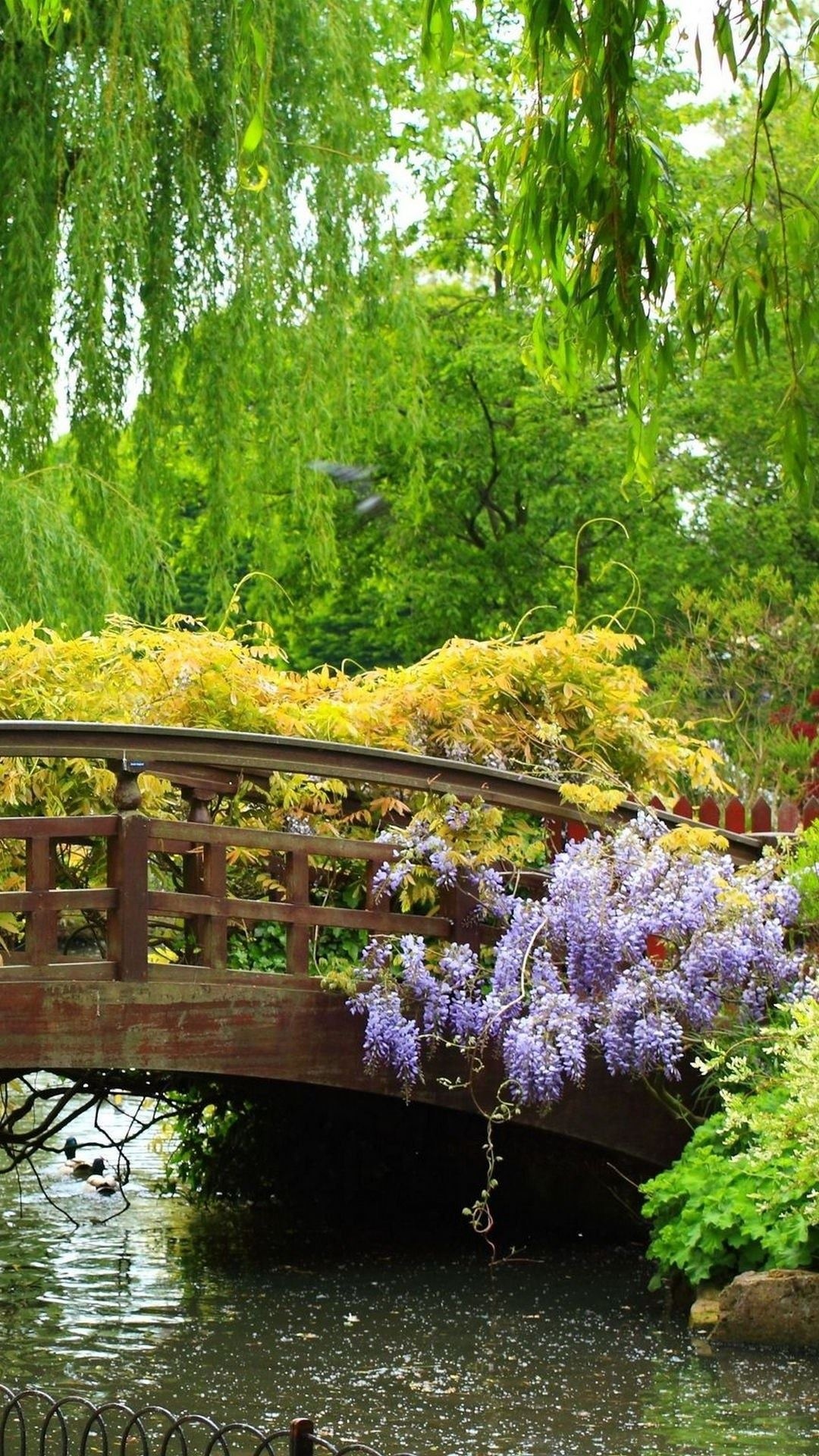 木桥独特景色