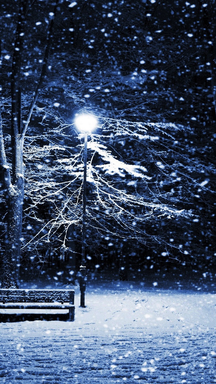 下雪的公园里的长凳灯杆