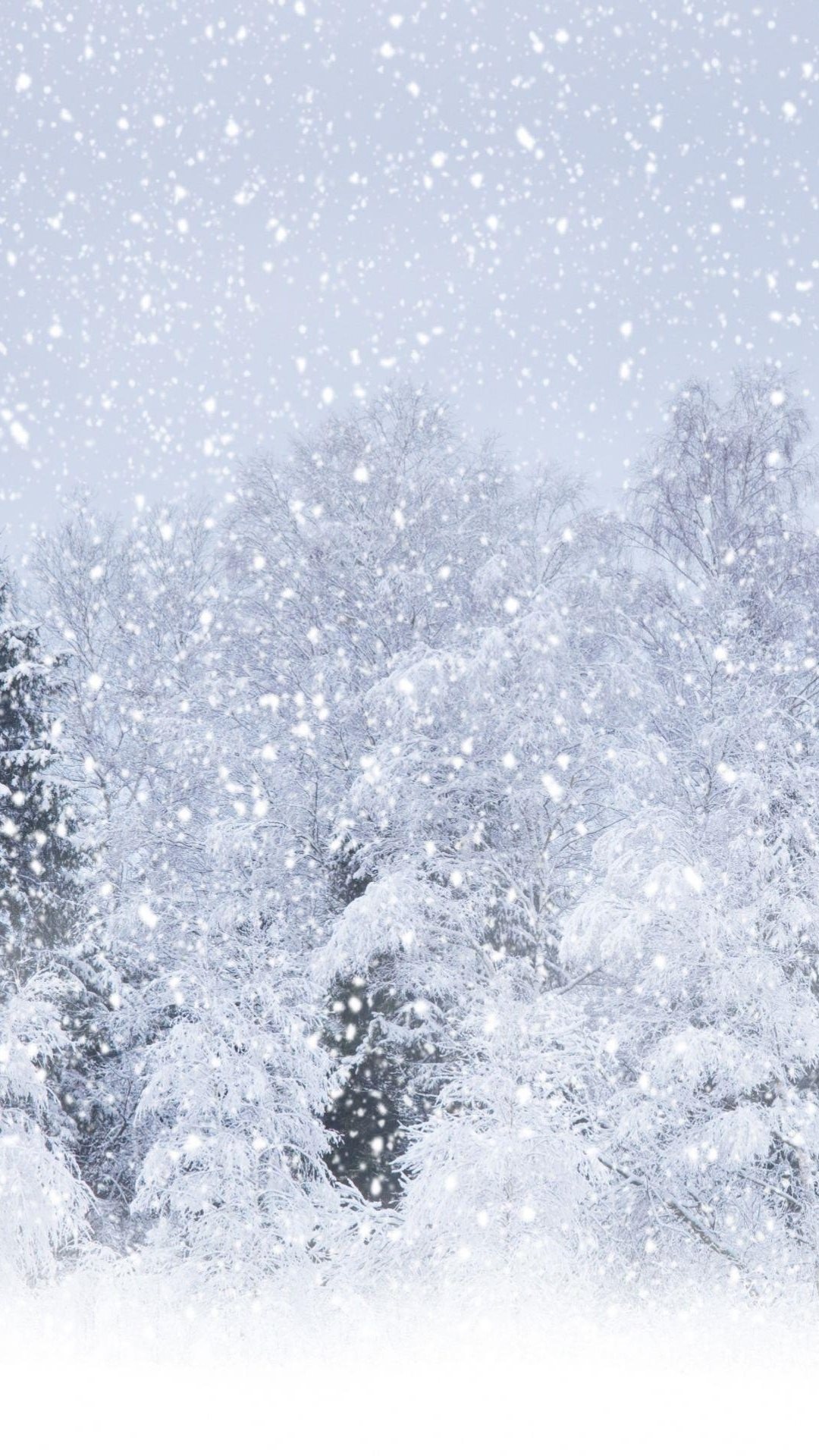 大雪森林