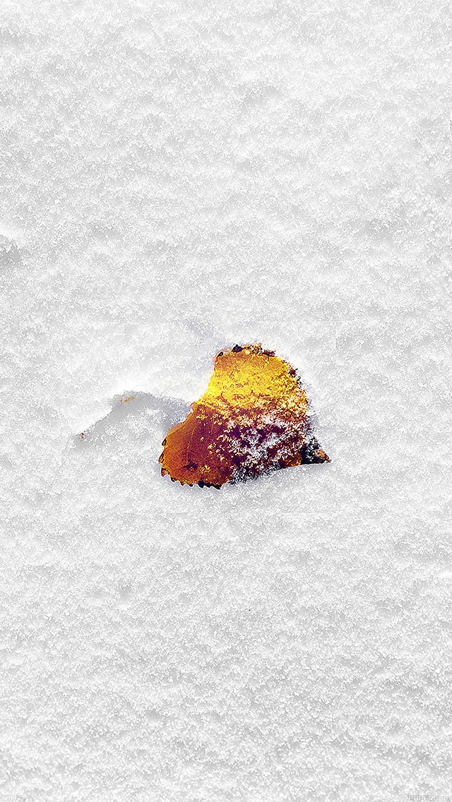 简单干净的冬季雪地上的落叶
