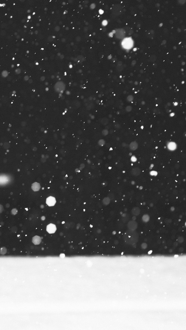 白雪黑夜散景