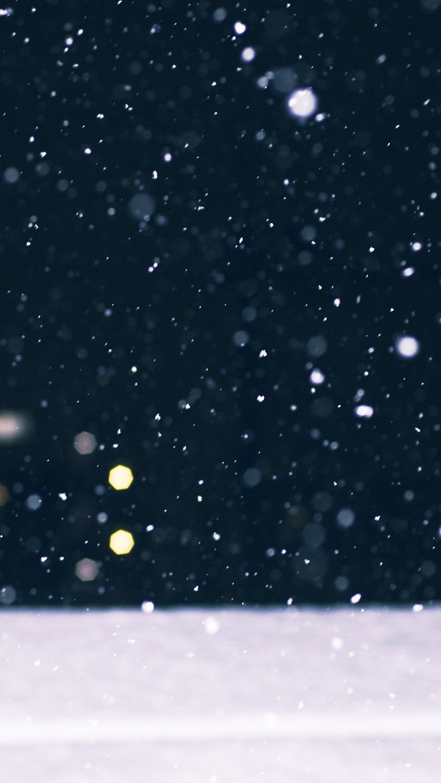 冬季雪落的散景