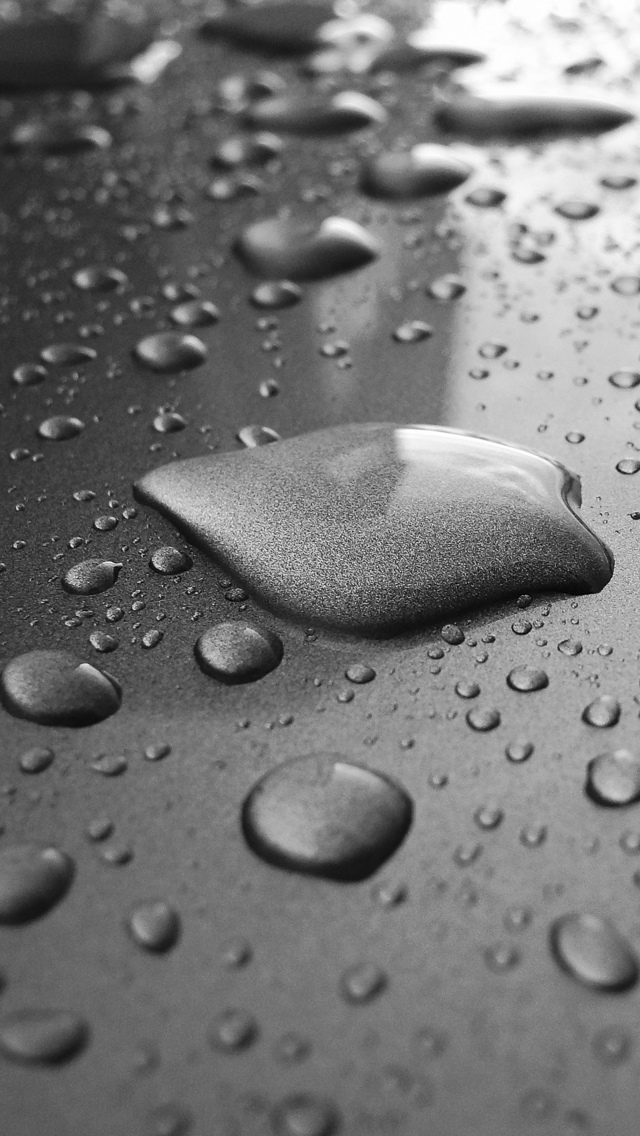 金属上的水珠