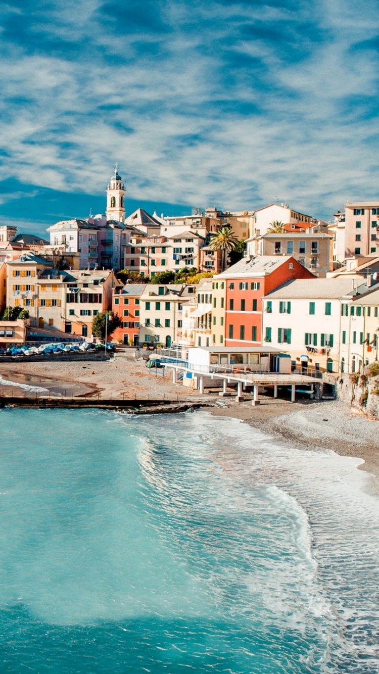 Cinque Terre View