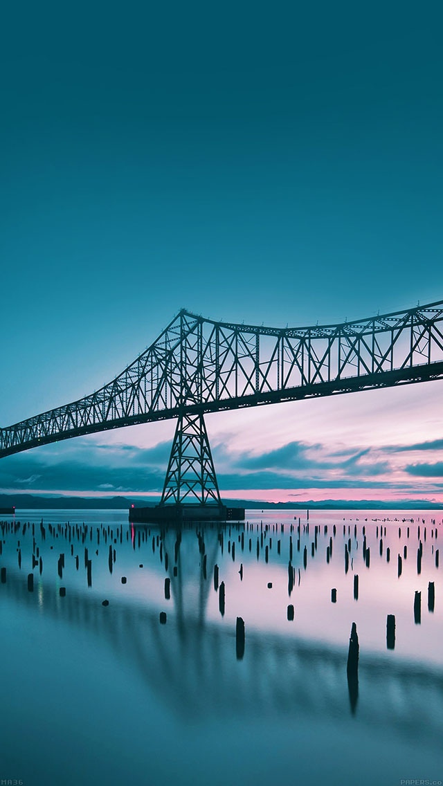 Oregon Bridge Reflection