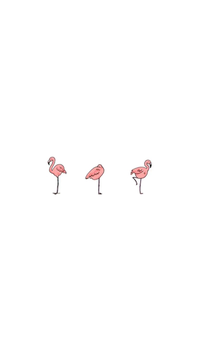 火烈鸟简笔插图