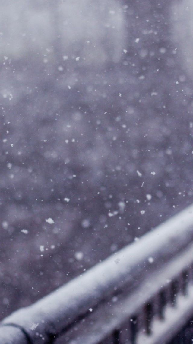 美丽的飘雪