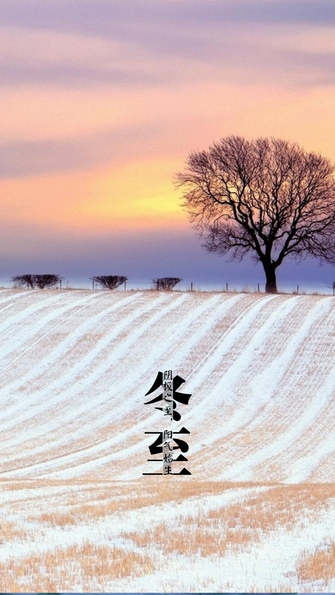 唯美冬至景色控