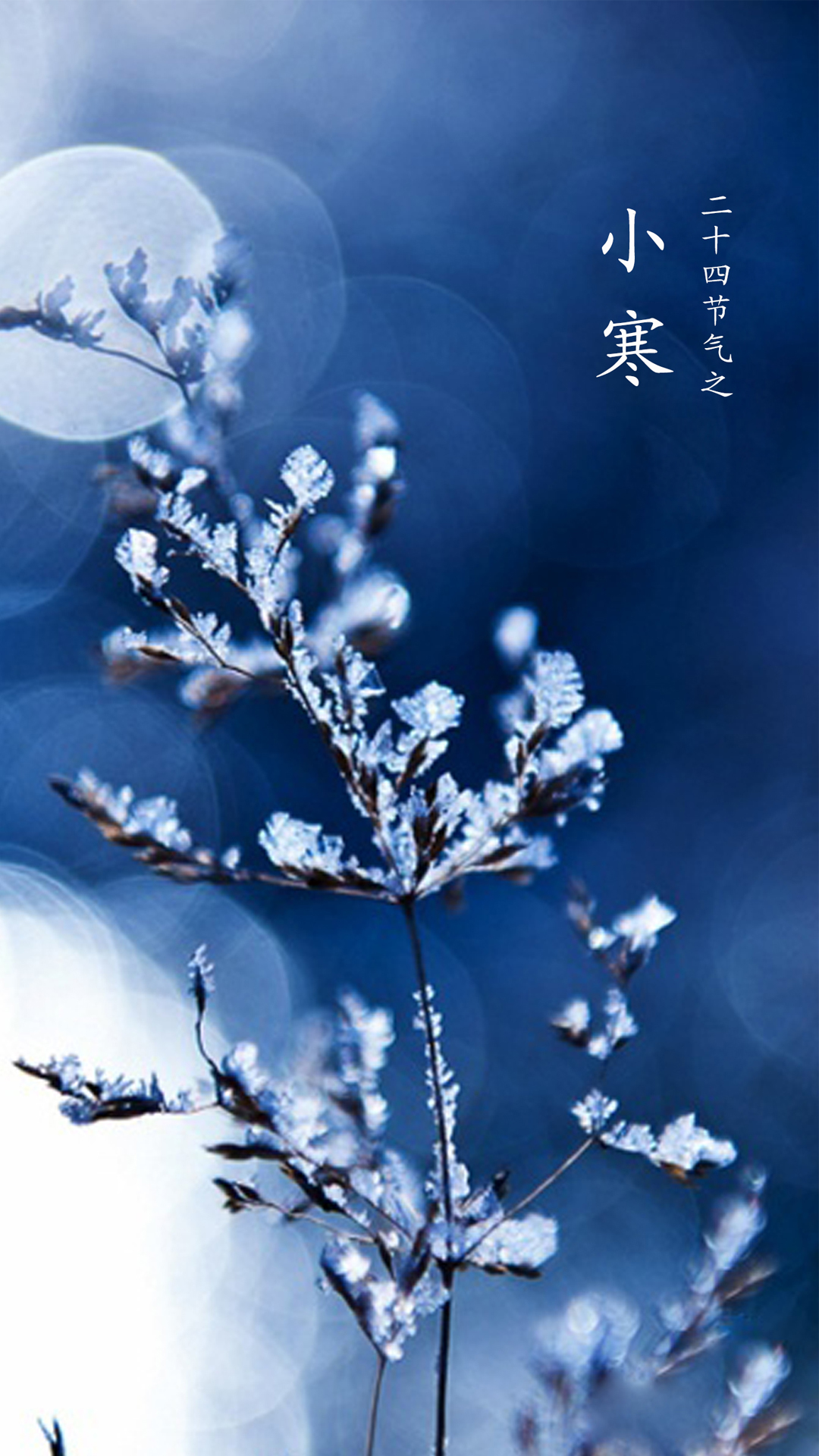 小寒节气