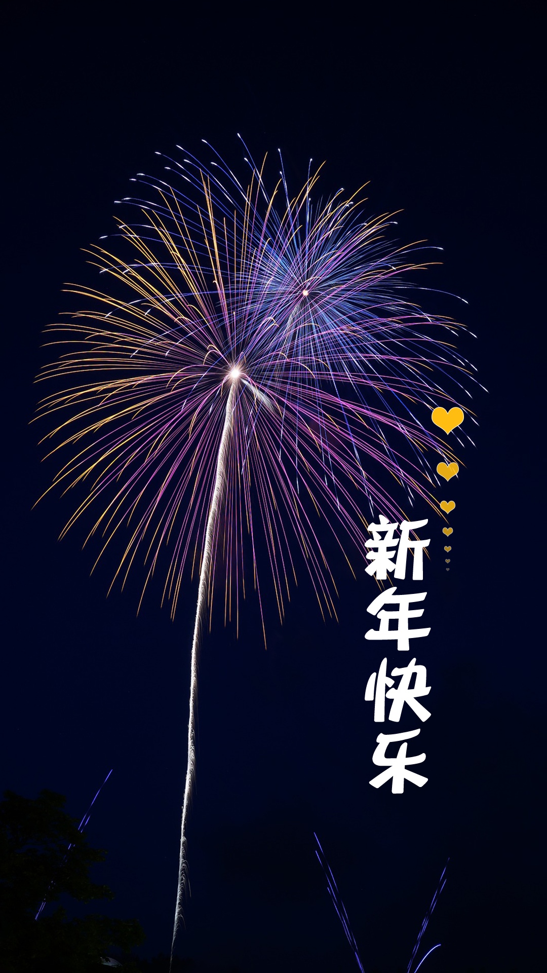 放烟花迎新年