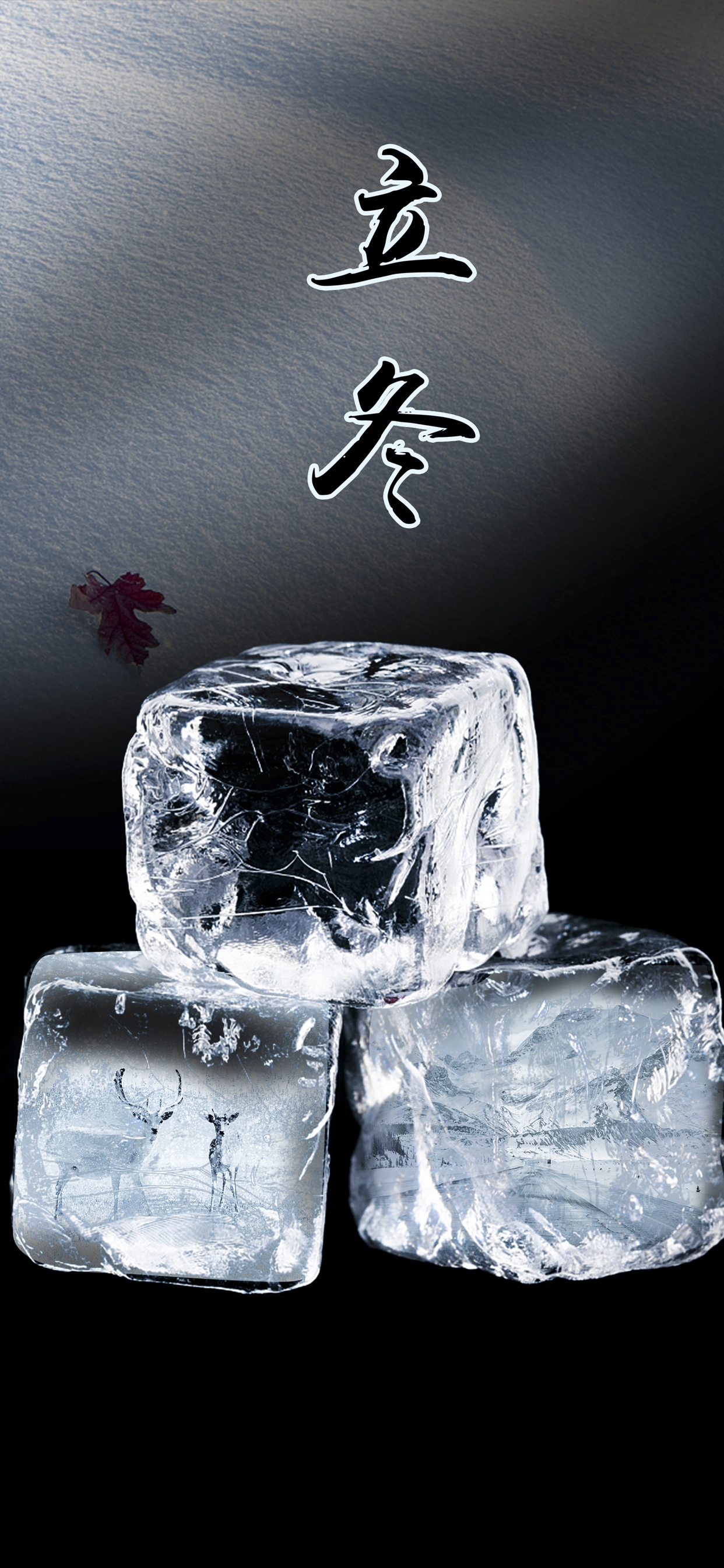 迎来了冬天的纯净