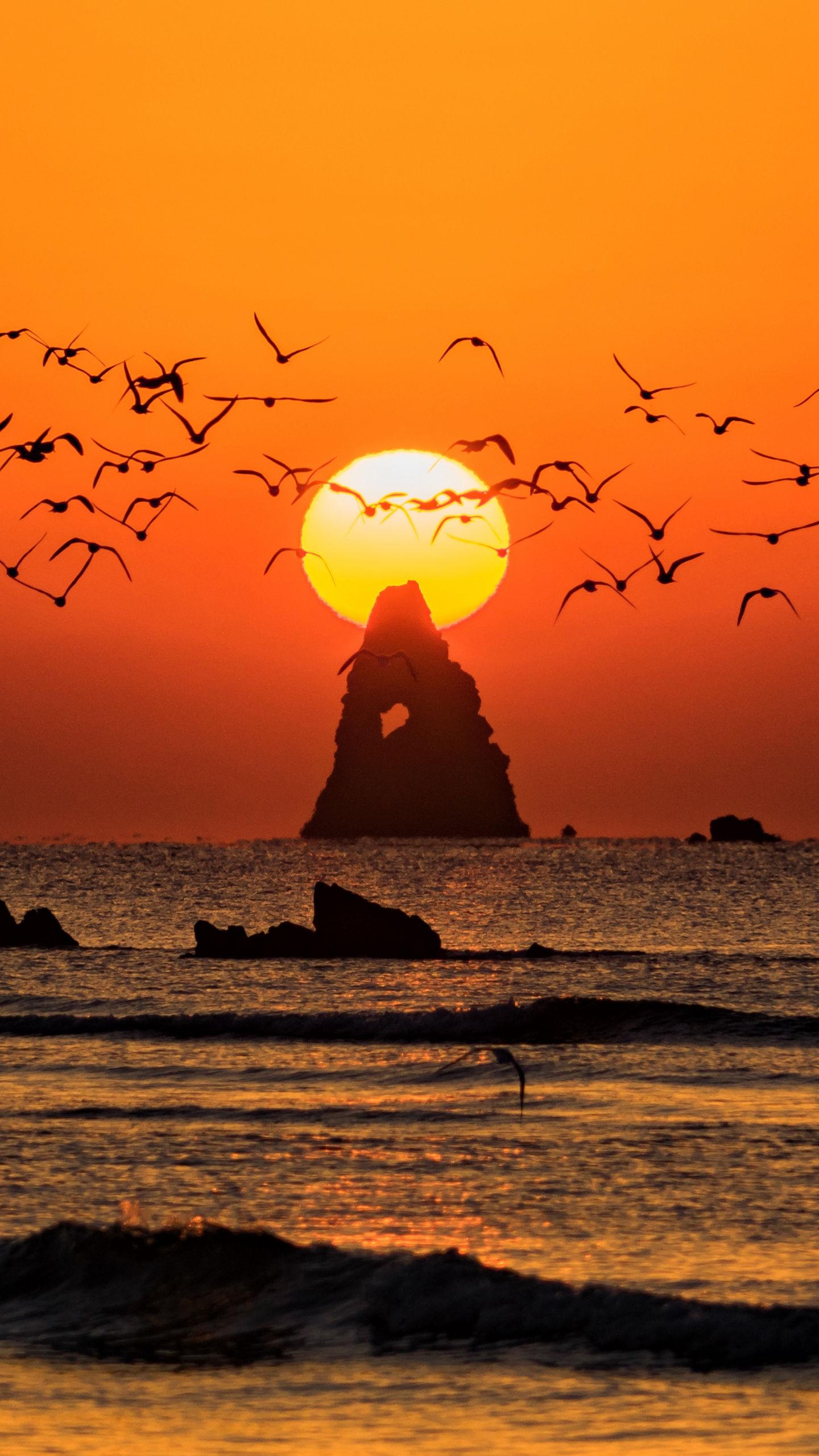 落日夕阳