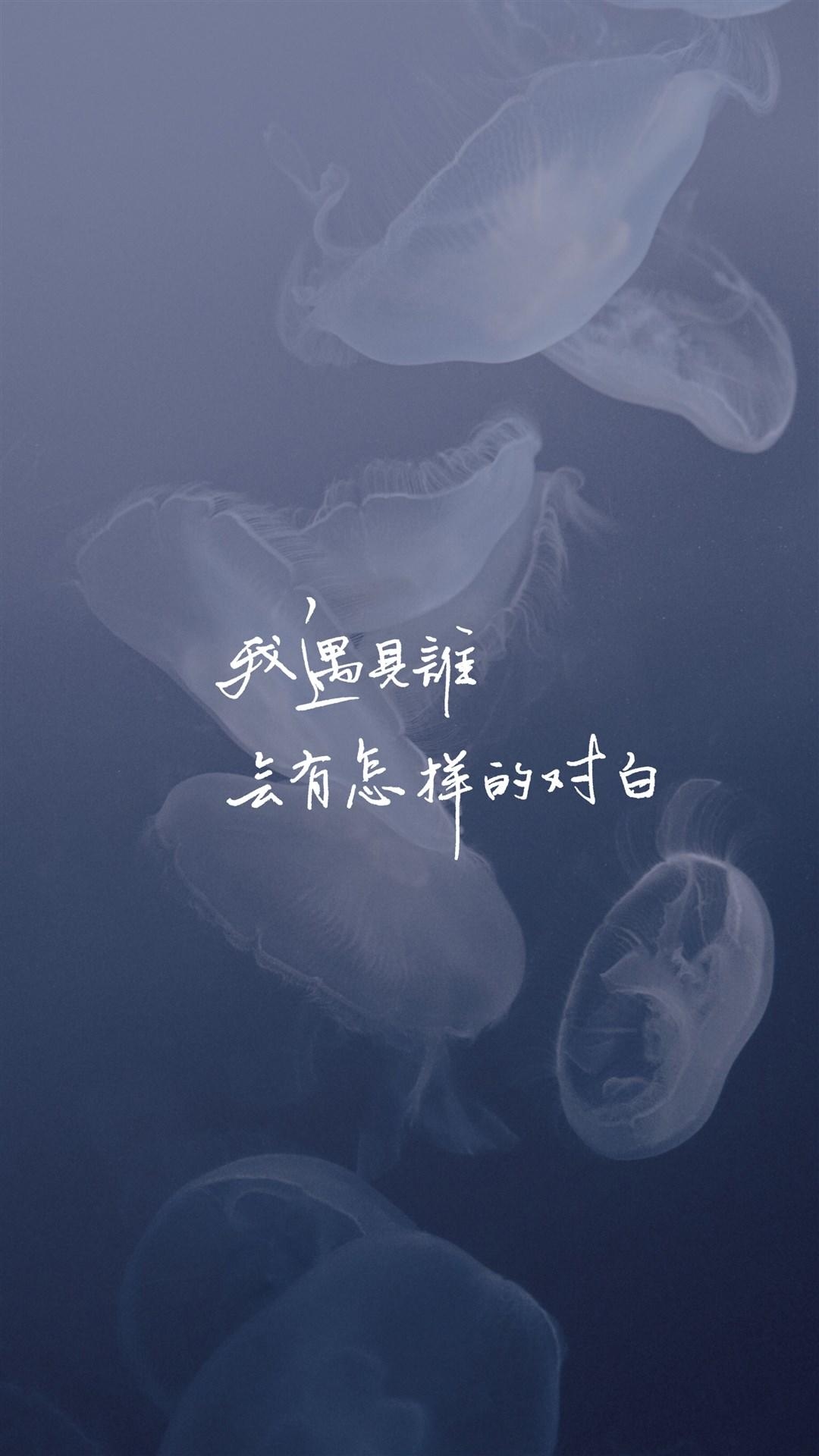 我遇见谁,会有怎样的对白